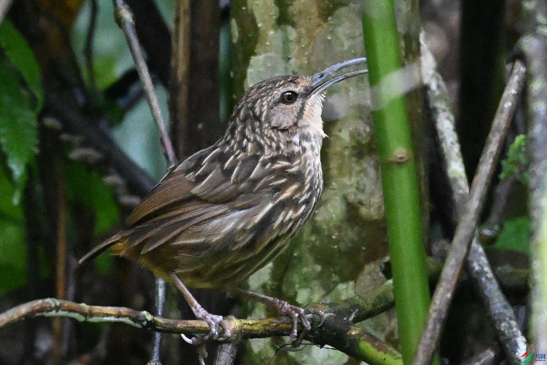 DSC_0588.JPG