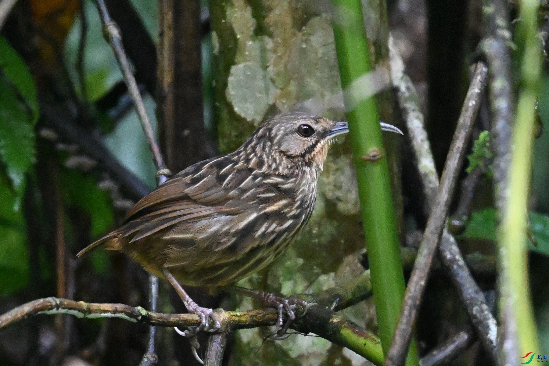 DSC_0573.JPG