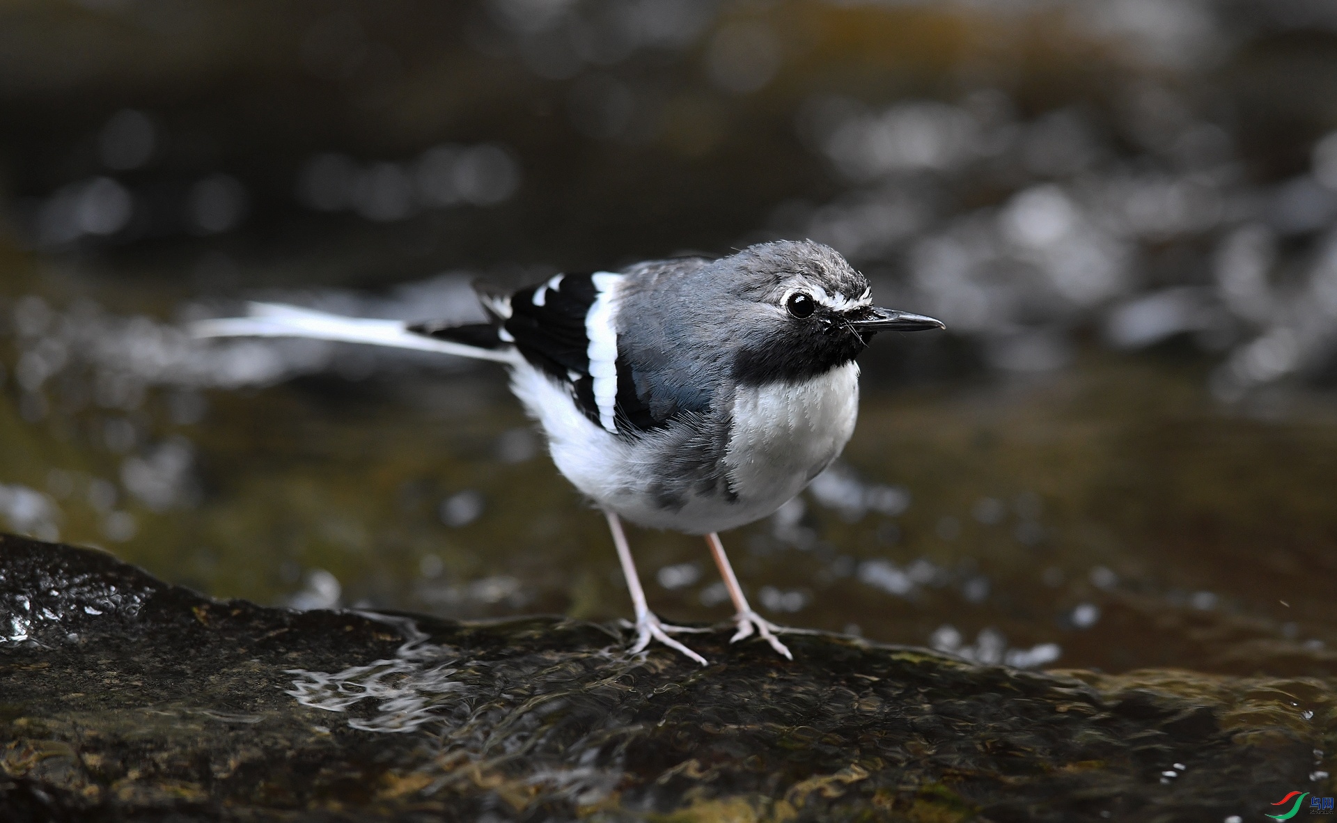 DSC_6914.jpg