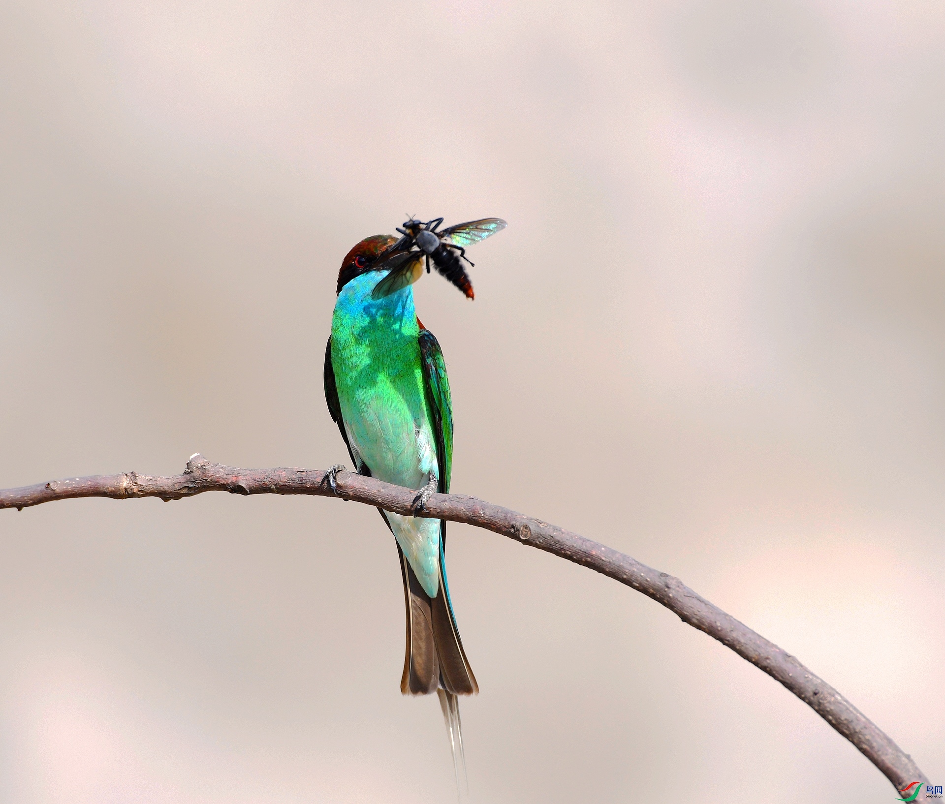 DSC_8331.jpg