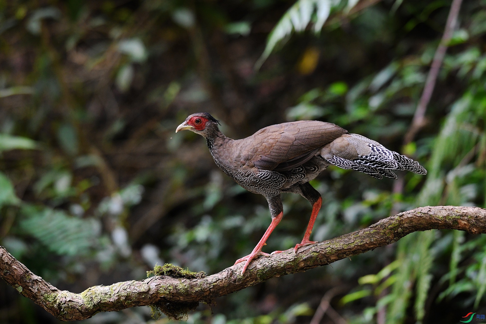 DSC_6422.jpg