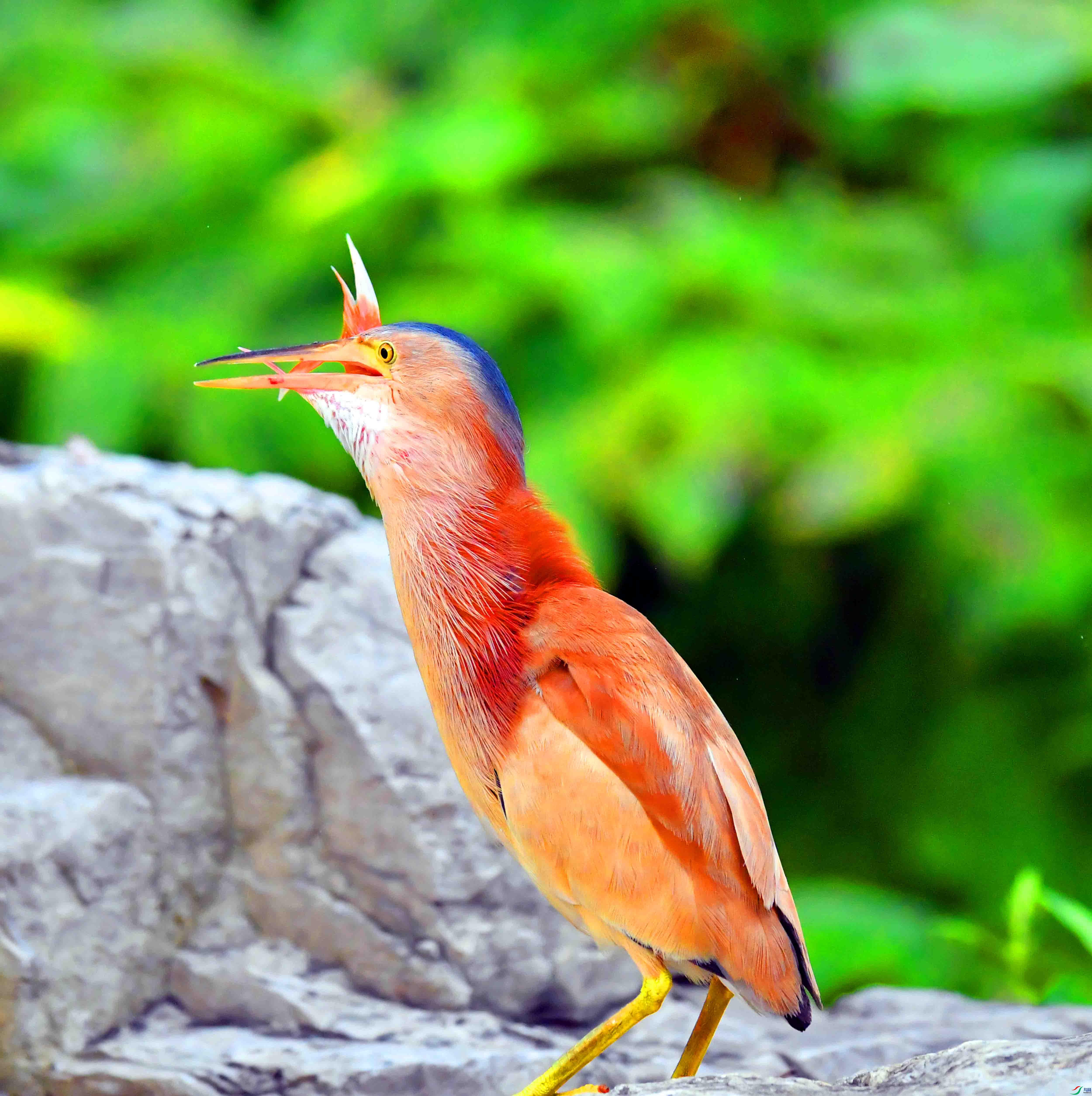 DSC_1429.JPG