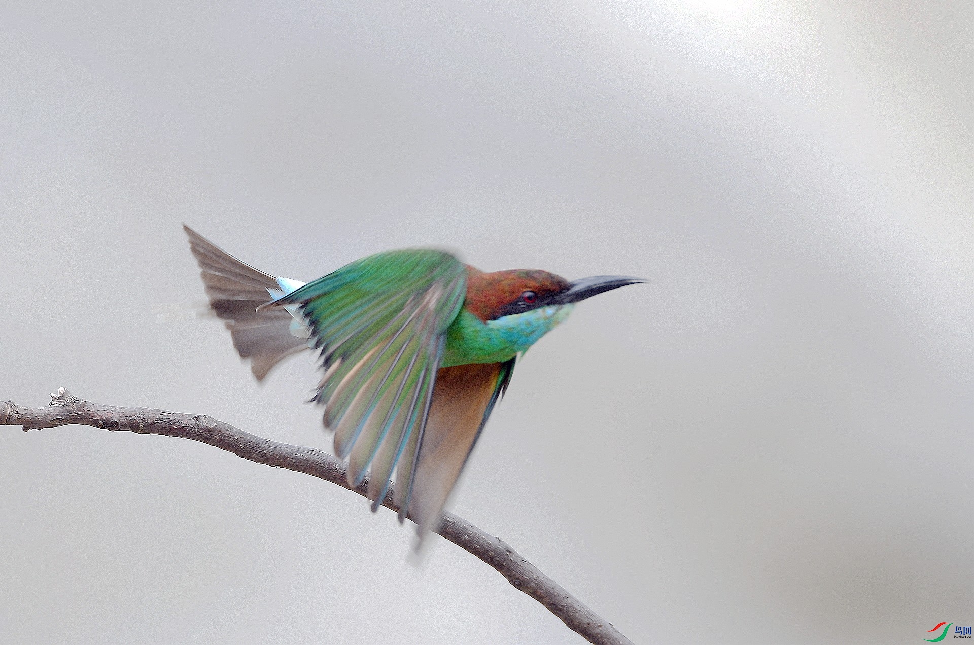DSC_5498.jpg