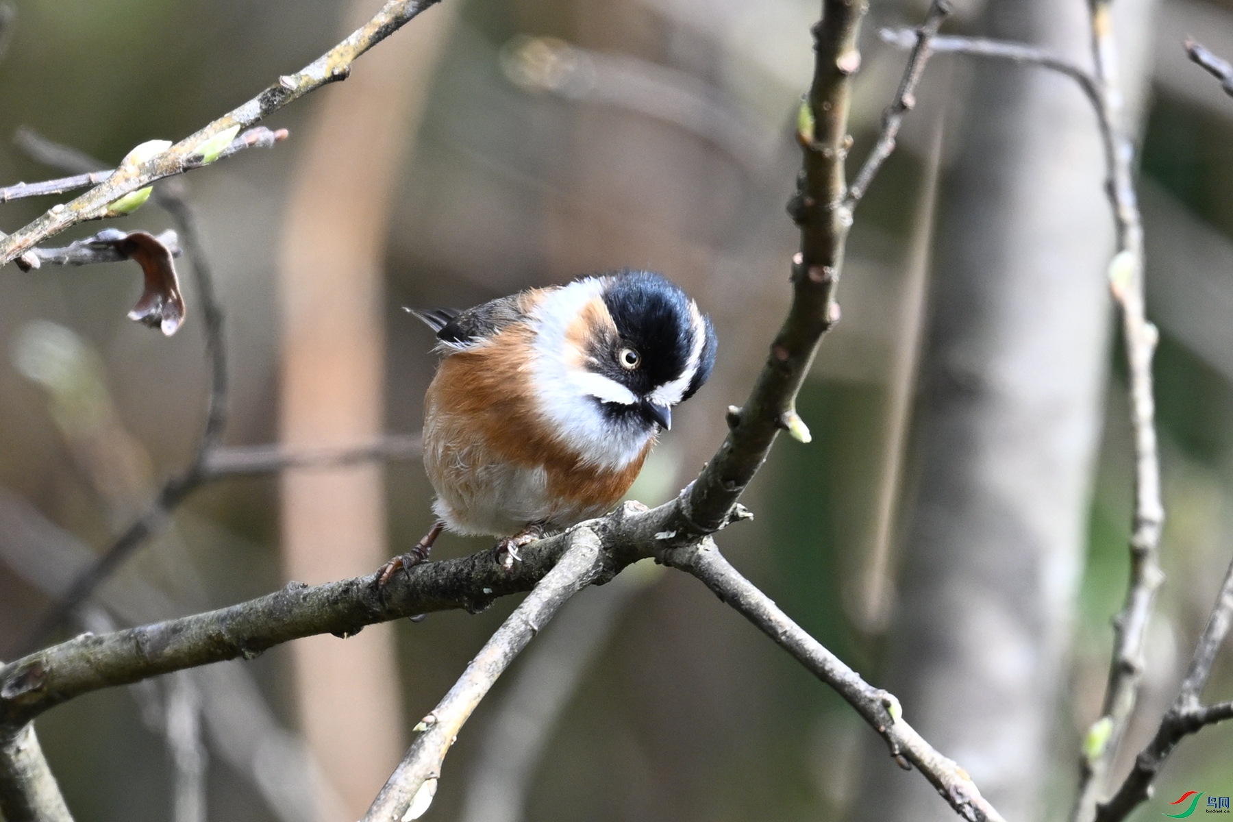 DSC_1571.JPG