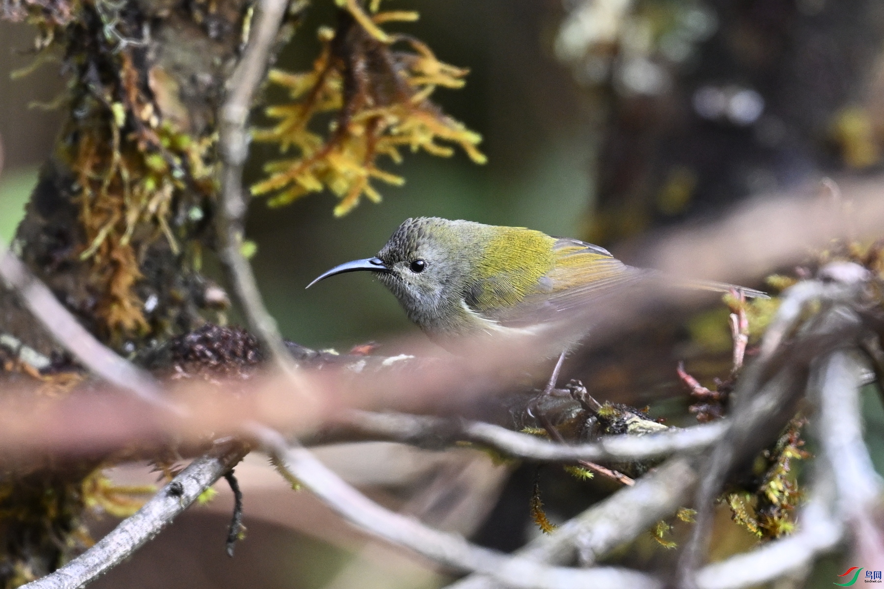 DSC_1566.JPG