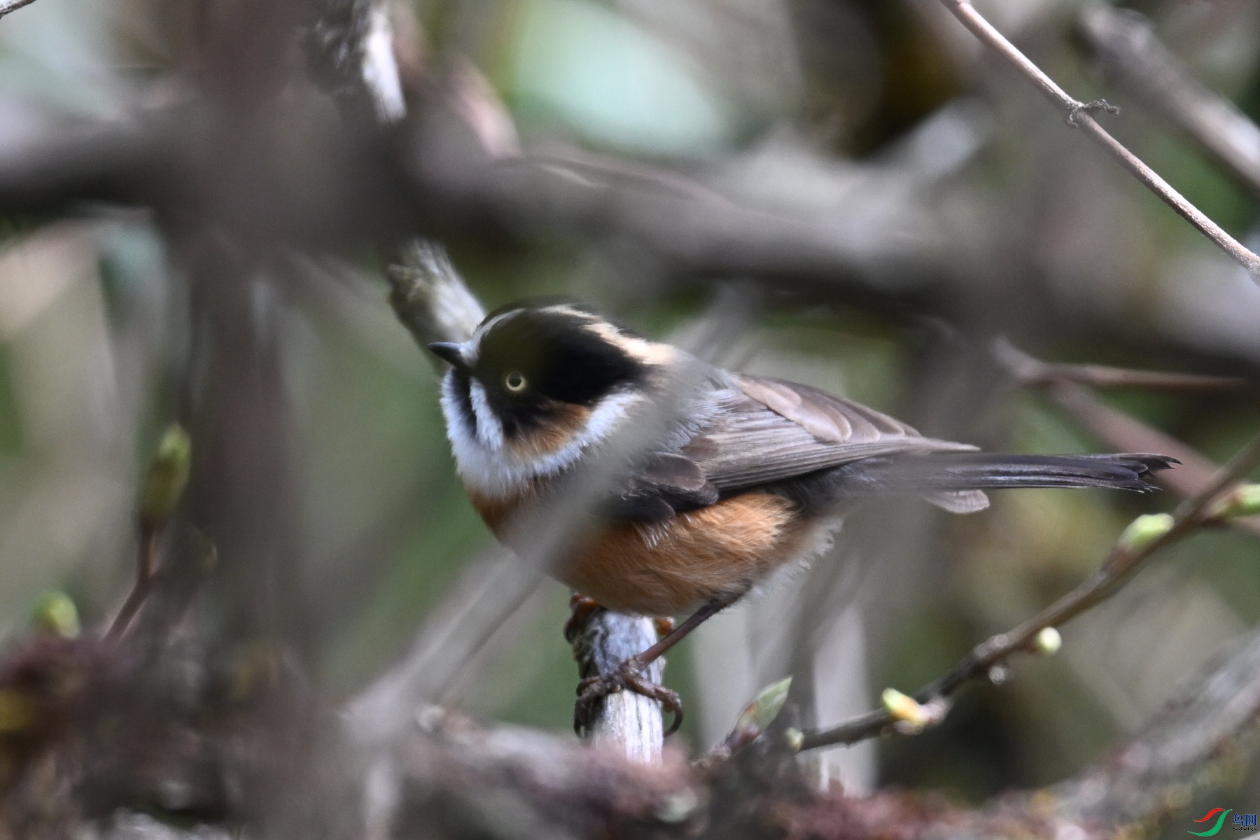 DSC_1551.JPG