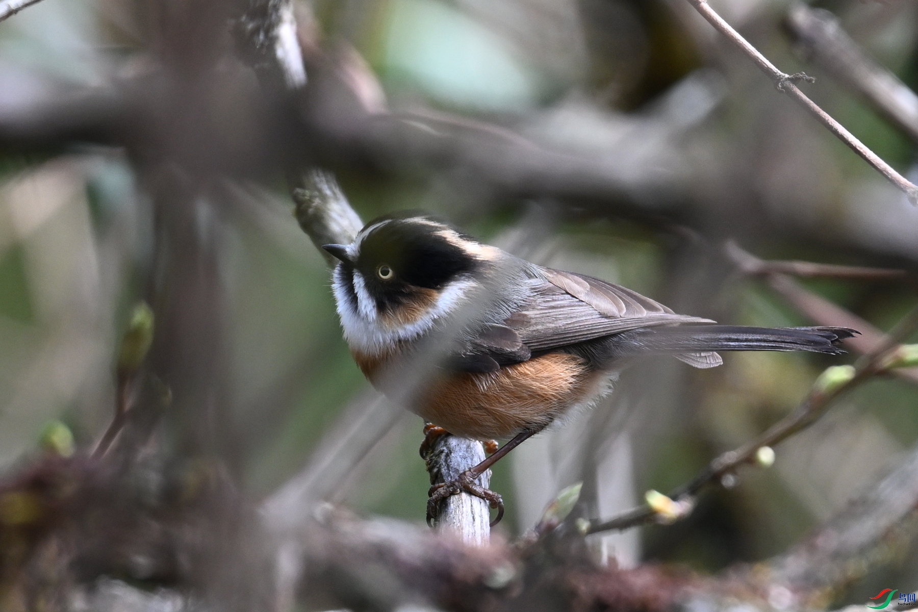 DSC_1552.JPG