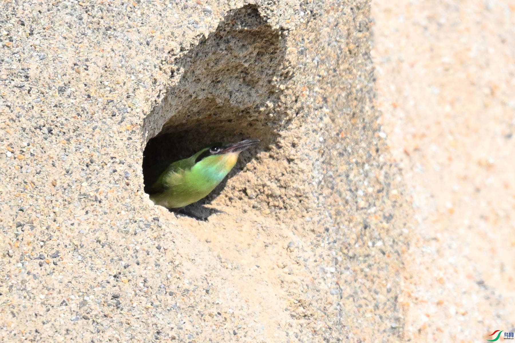 DSC_2648.JPG