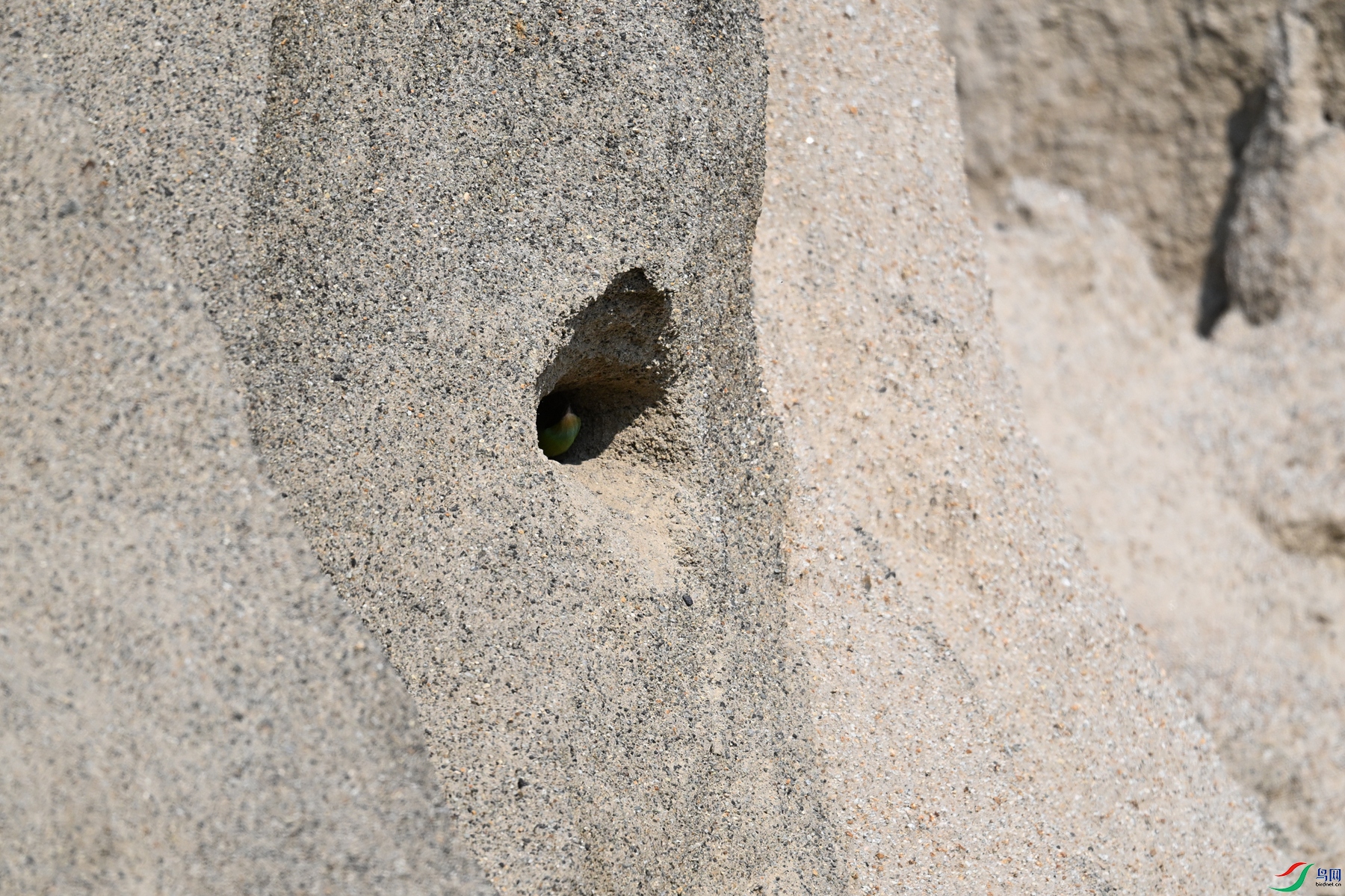 DSC_2612.JPG