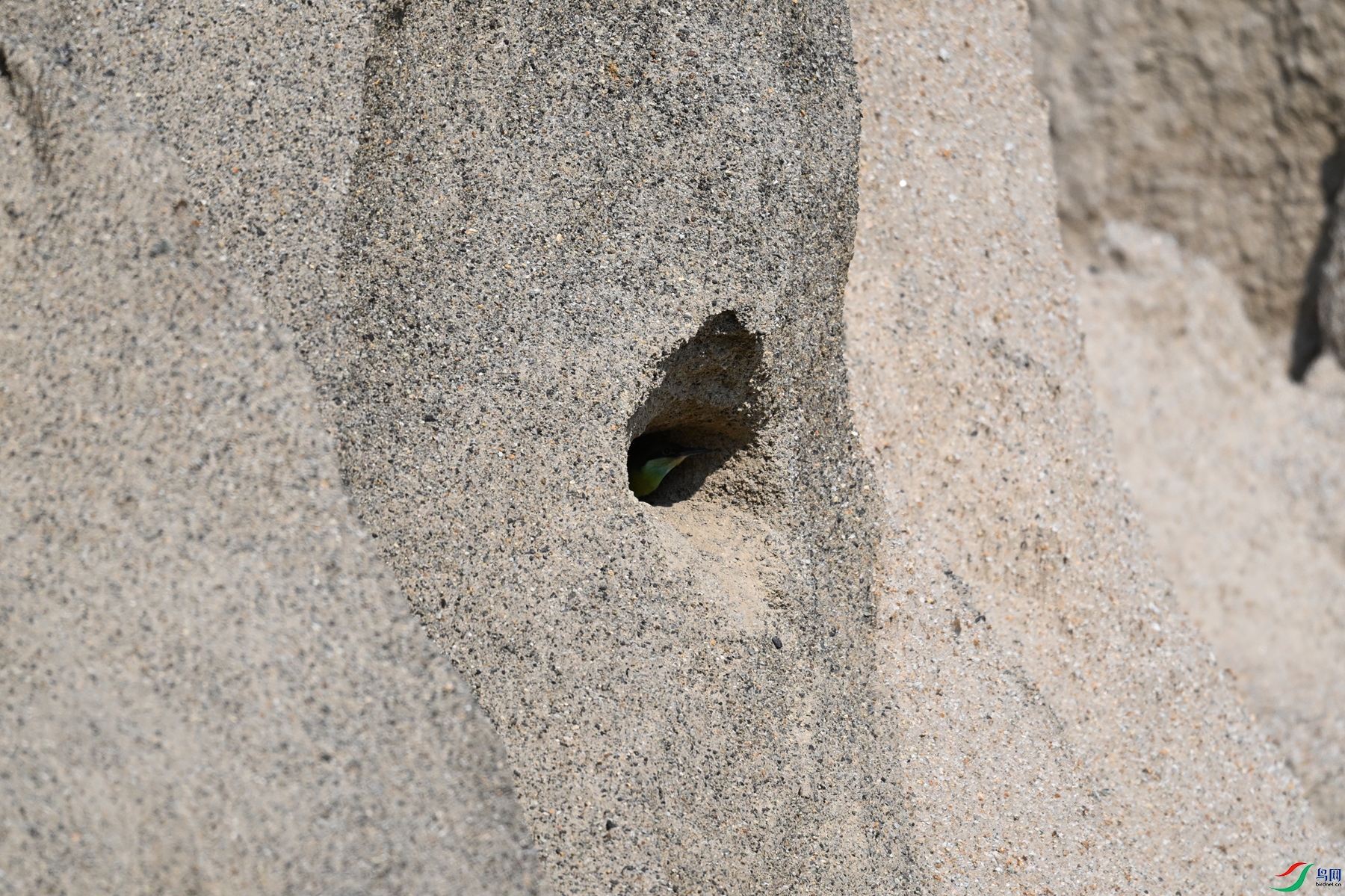 DSC_2619.JPG