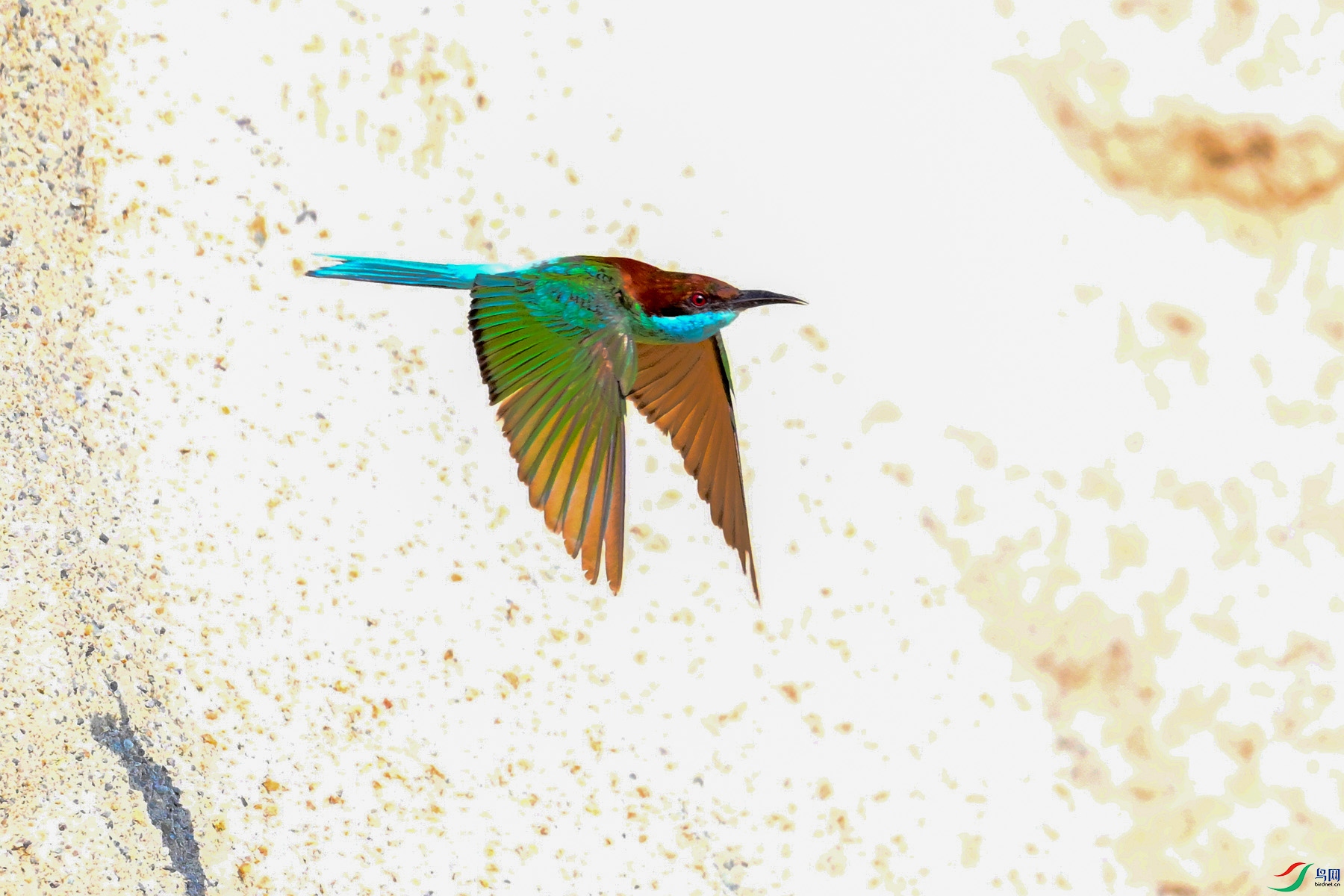 DSC_2629.JPG