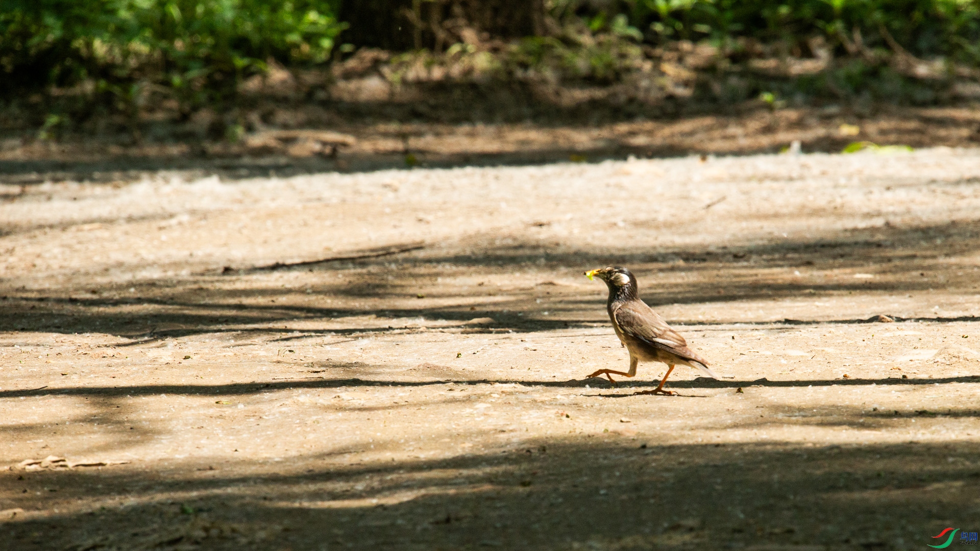 A48Z8388.jpg
