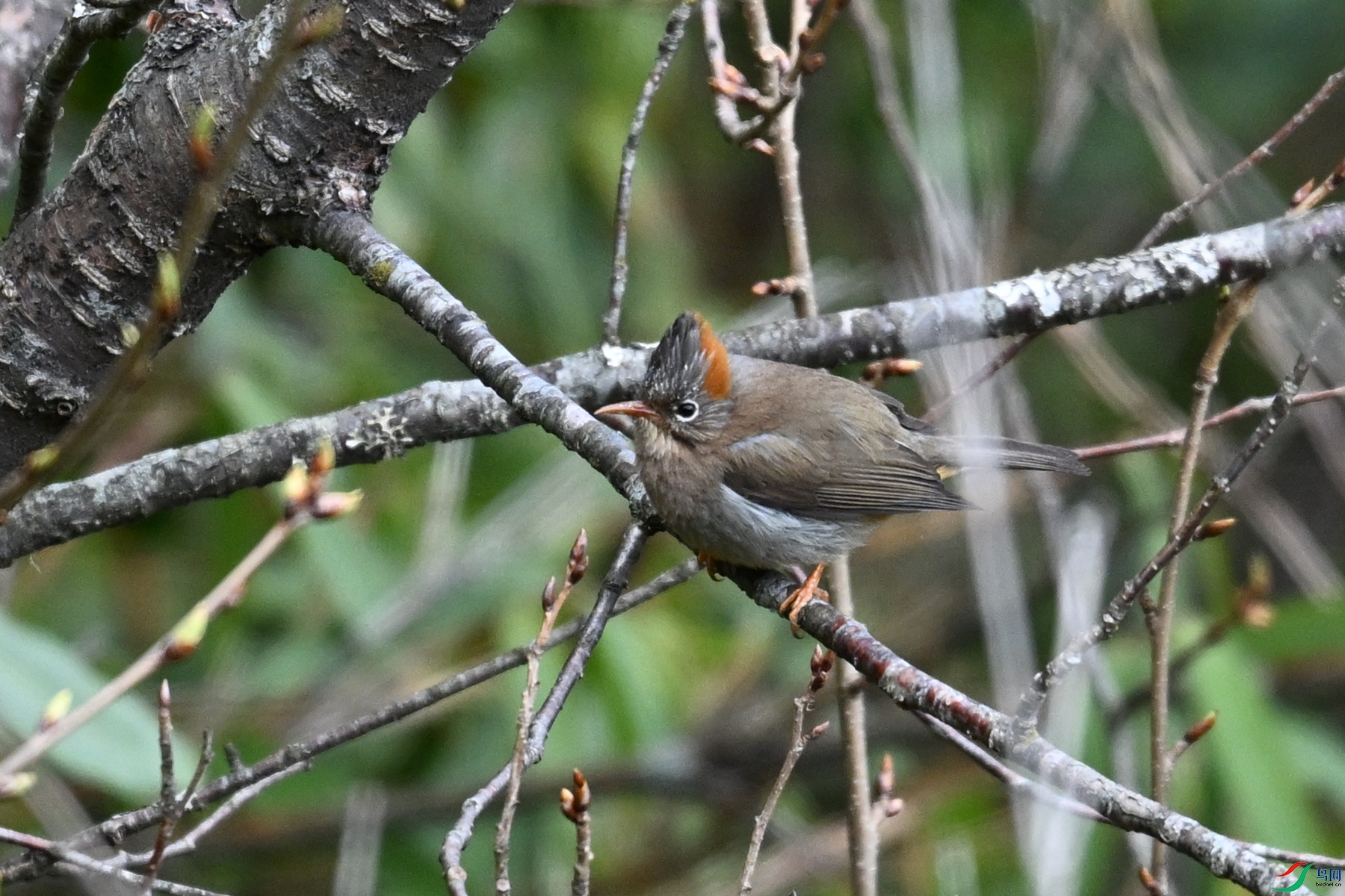 DSC_1618.JPG