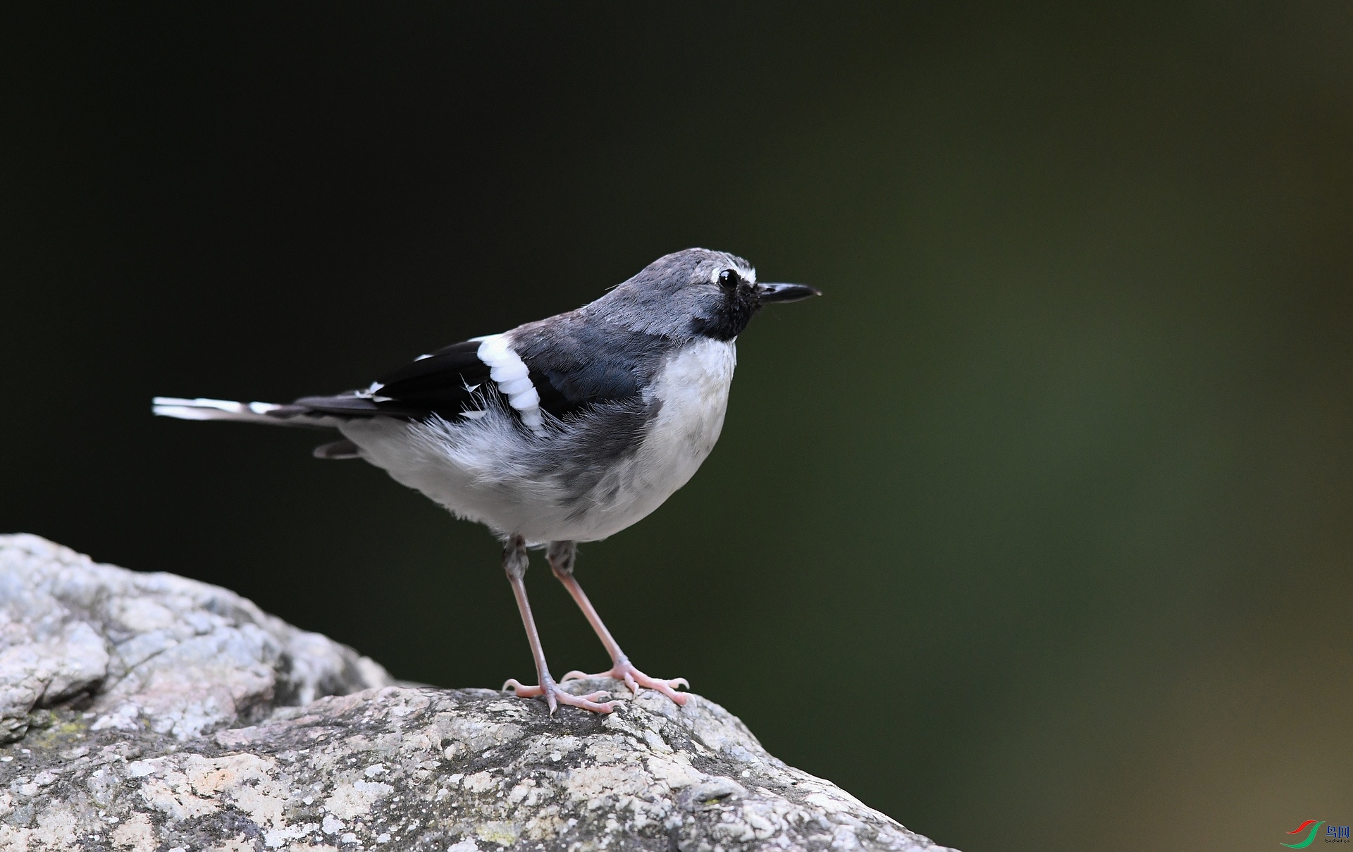 DSC_0443.jpg