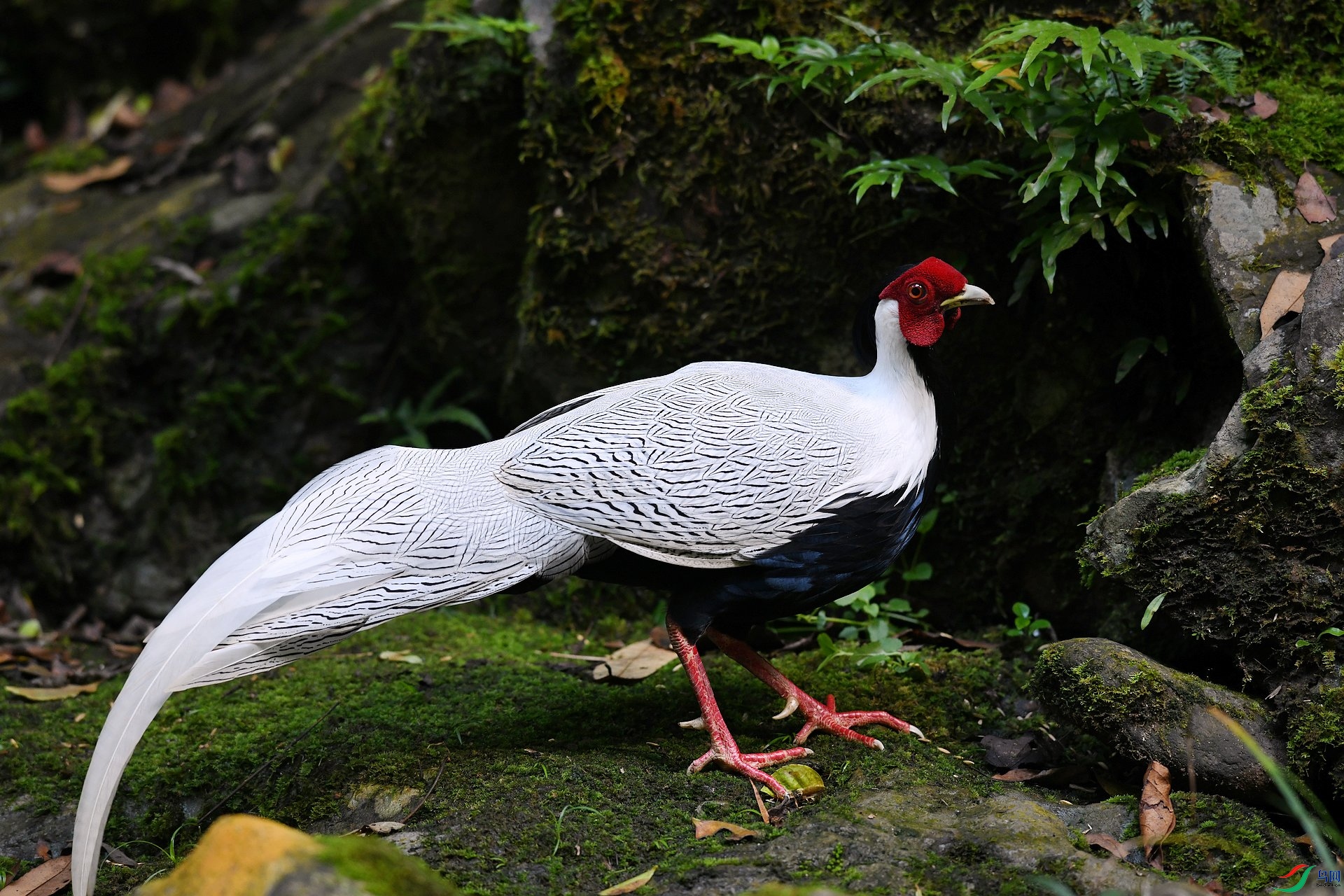 DSC_0001.jpg