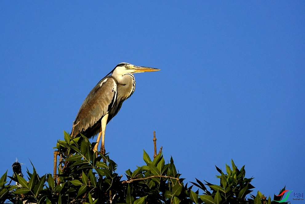 _DSC8669.JPG