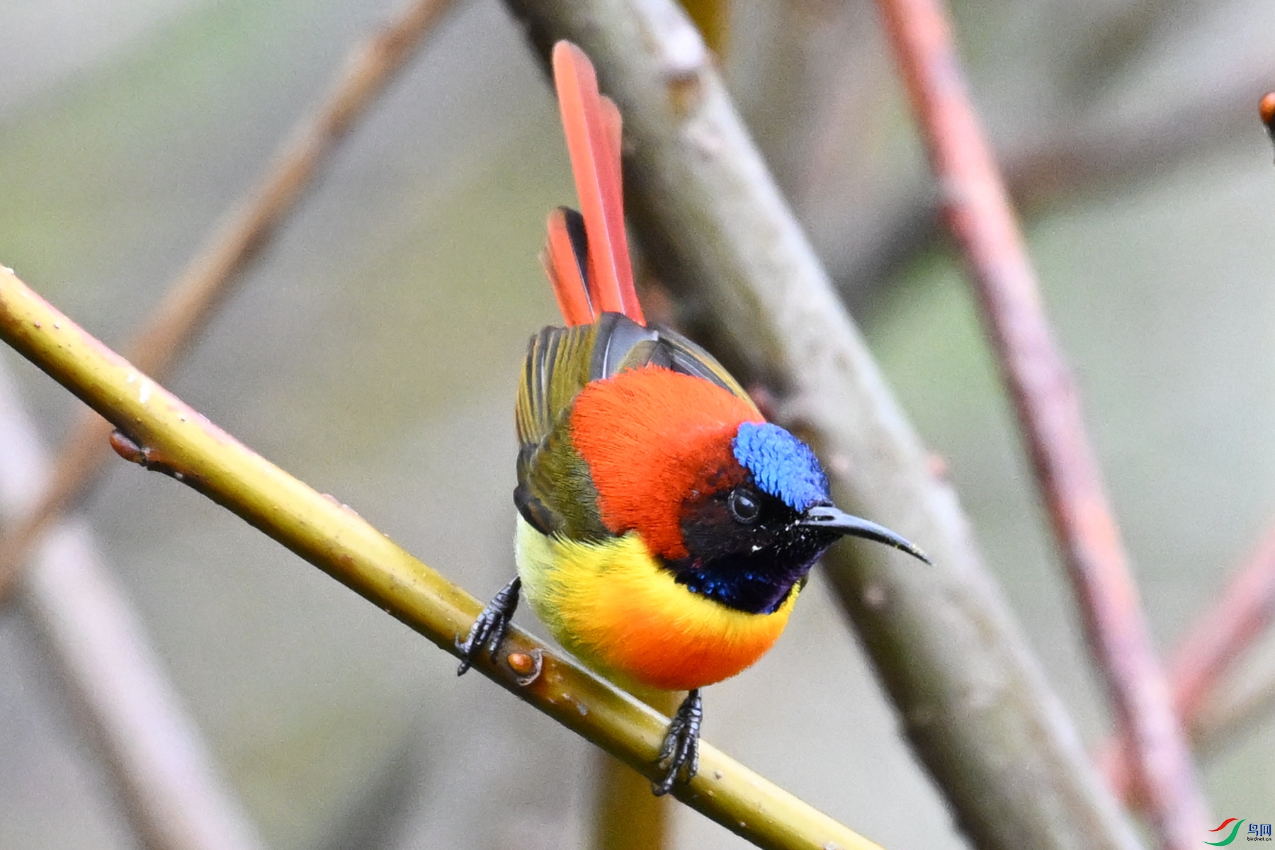 DSC_1632.JPG