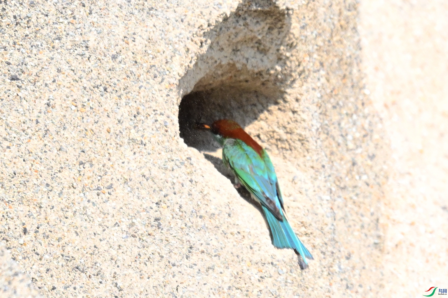 DSC_2656.JPG