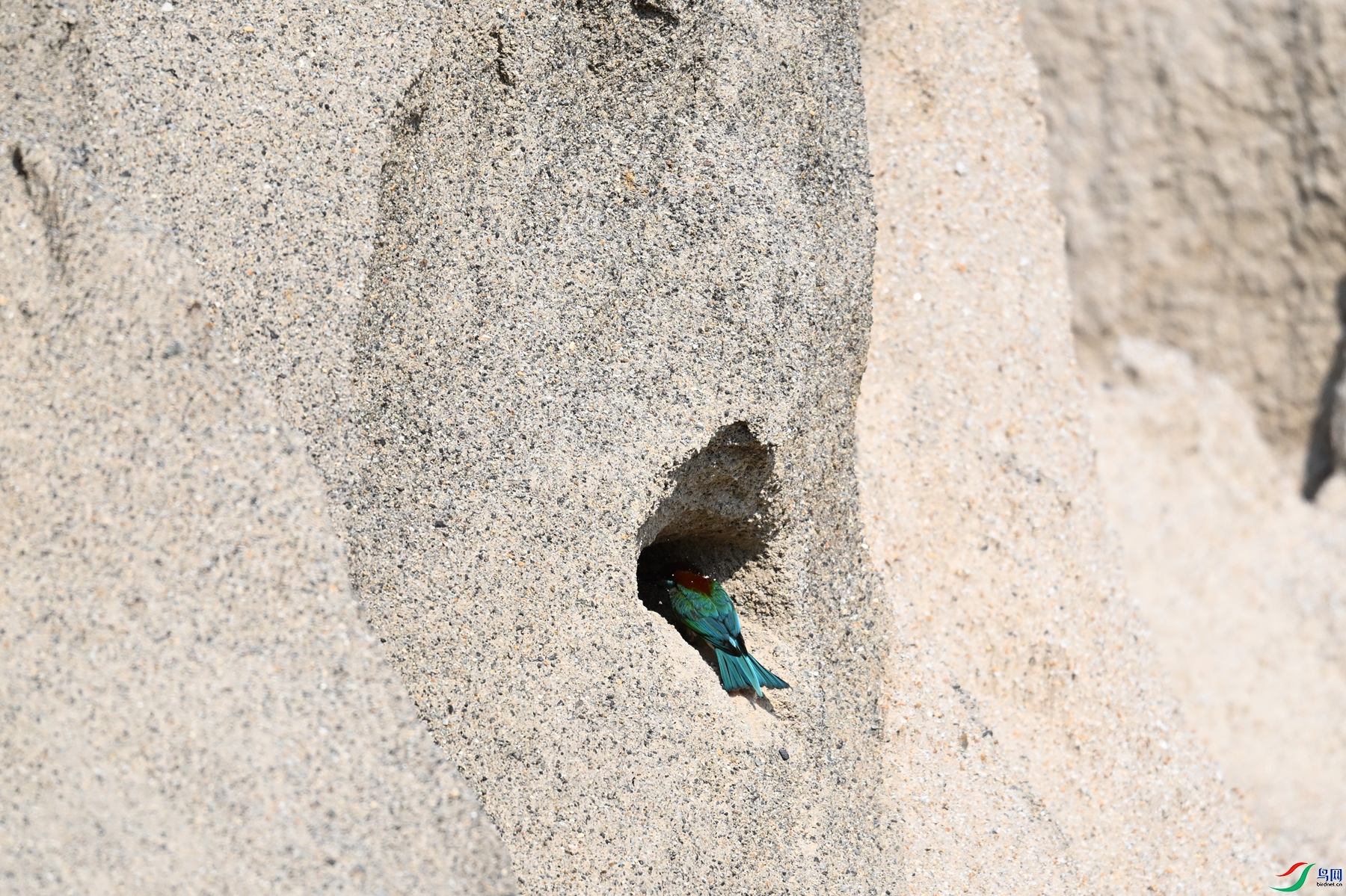 DSC_2621.JPG