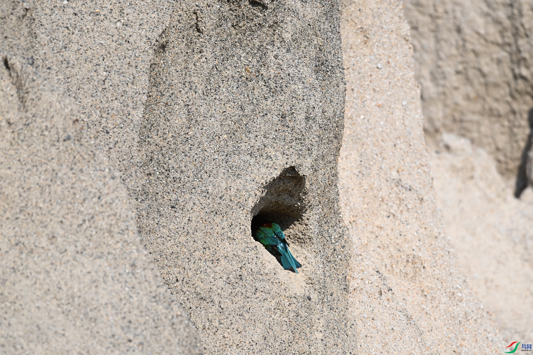 DSC_2623.JPG