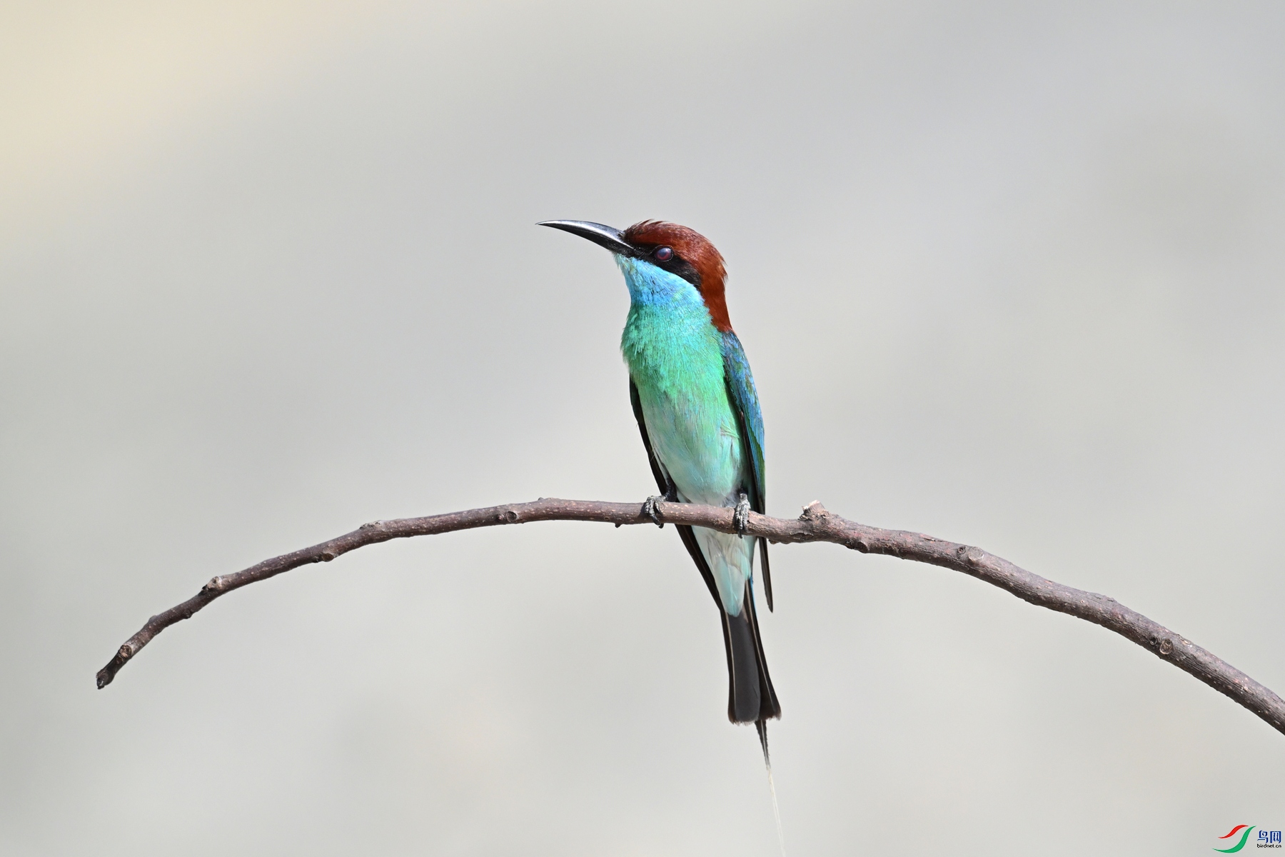 DSC_2662.JPG