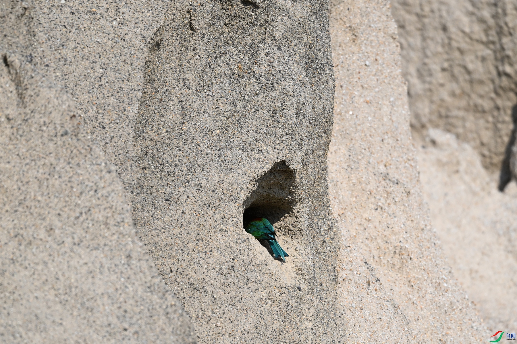 DSC_2624.JPG