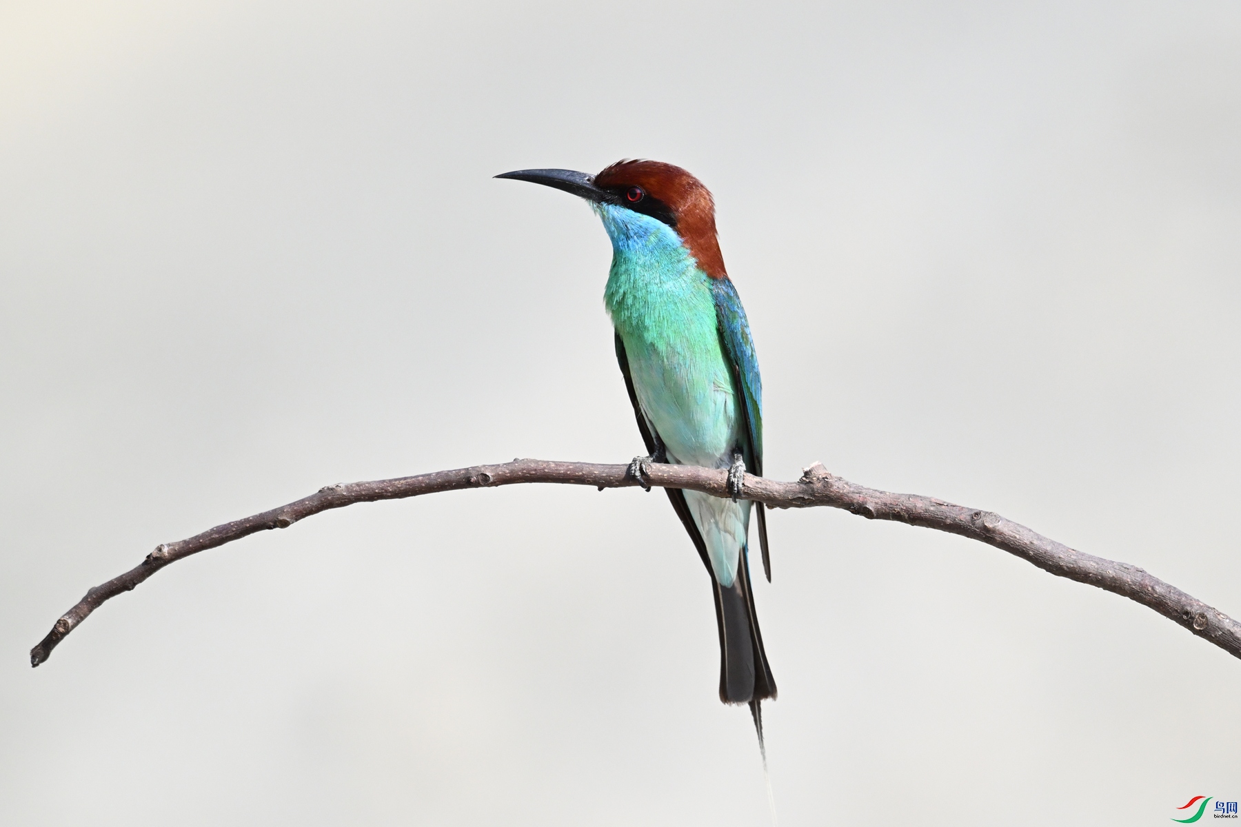 DSC_2663.JPG