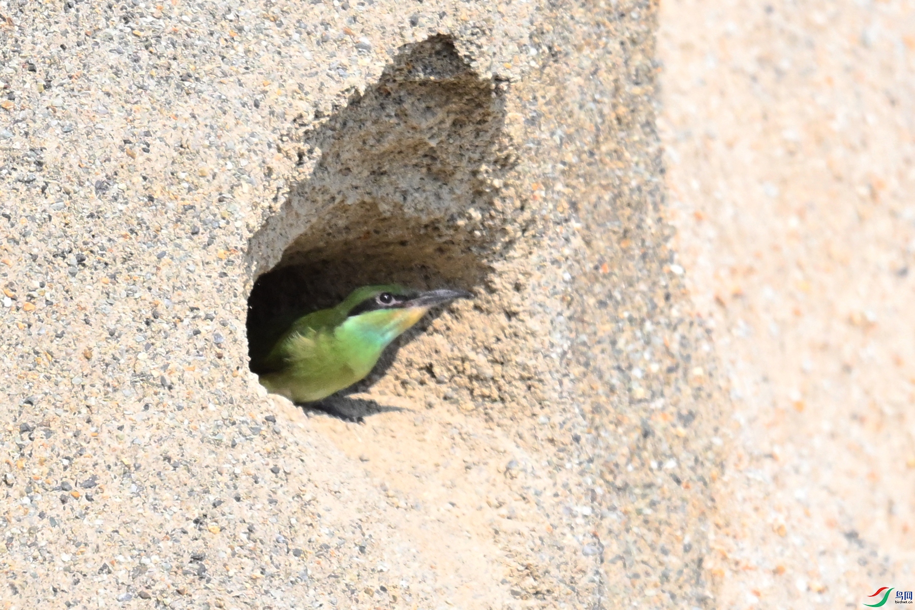 DSC_2637.JPG