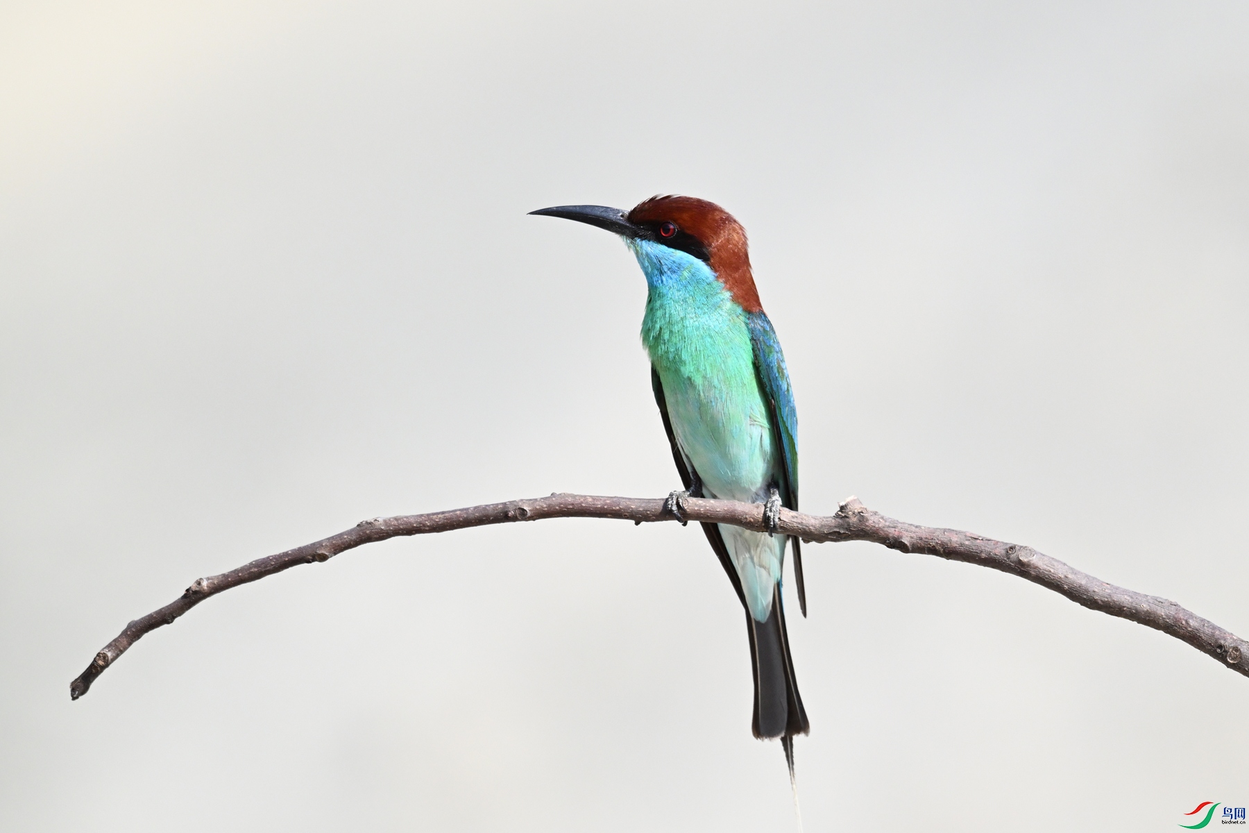 DSC_2664.JPG