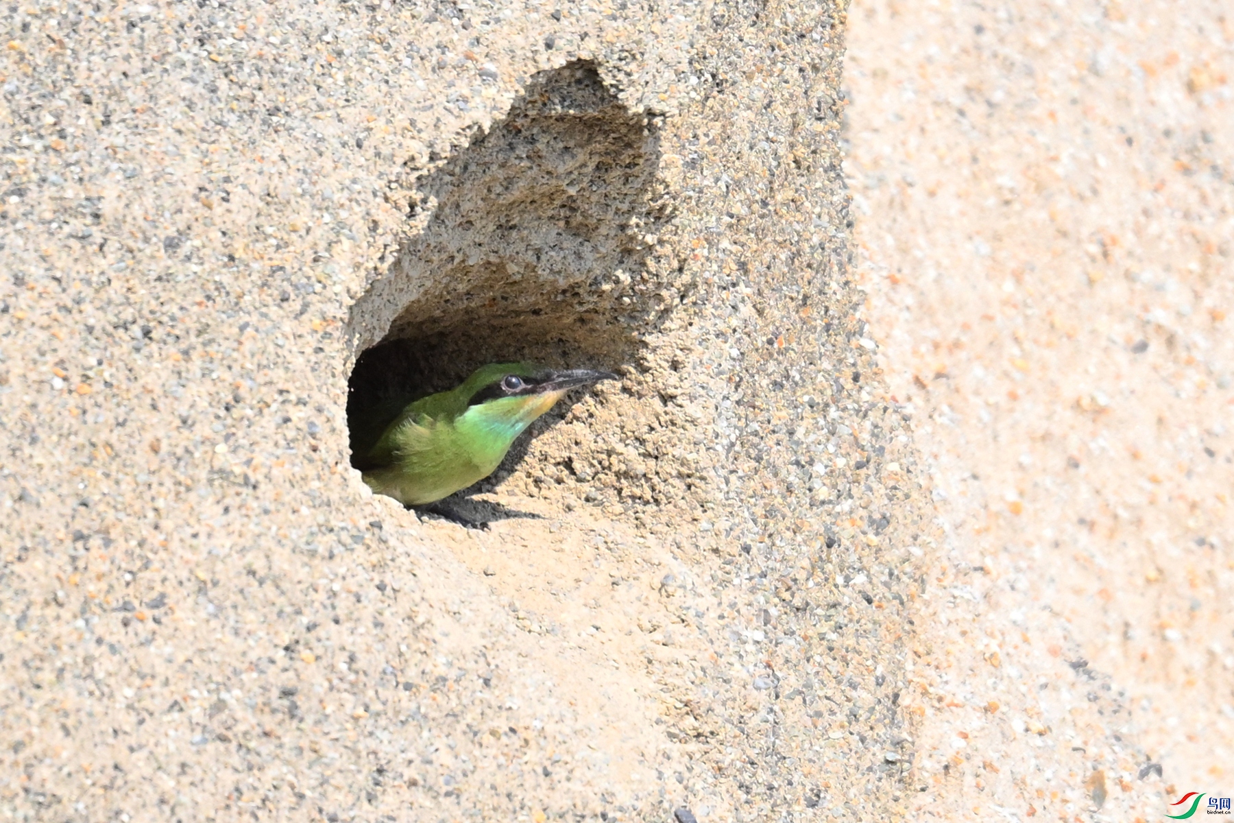 DSC_2638.JPG