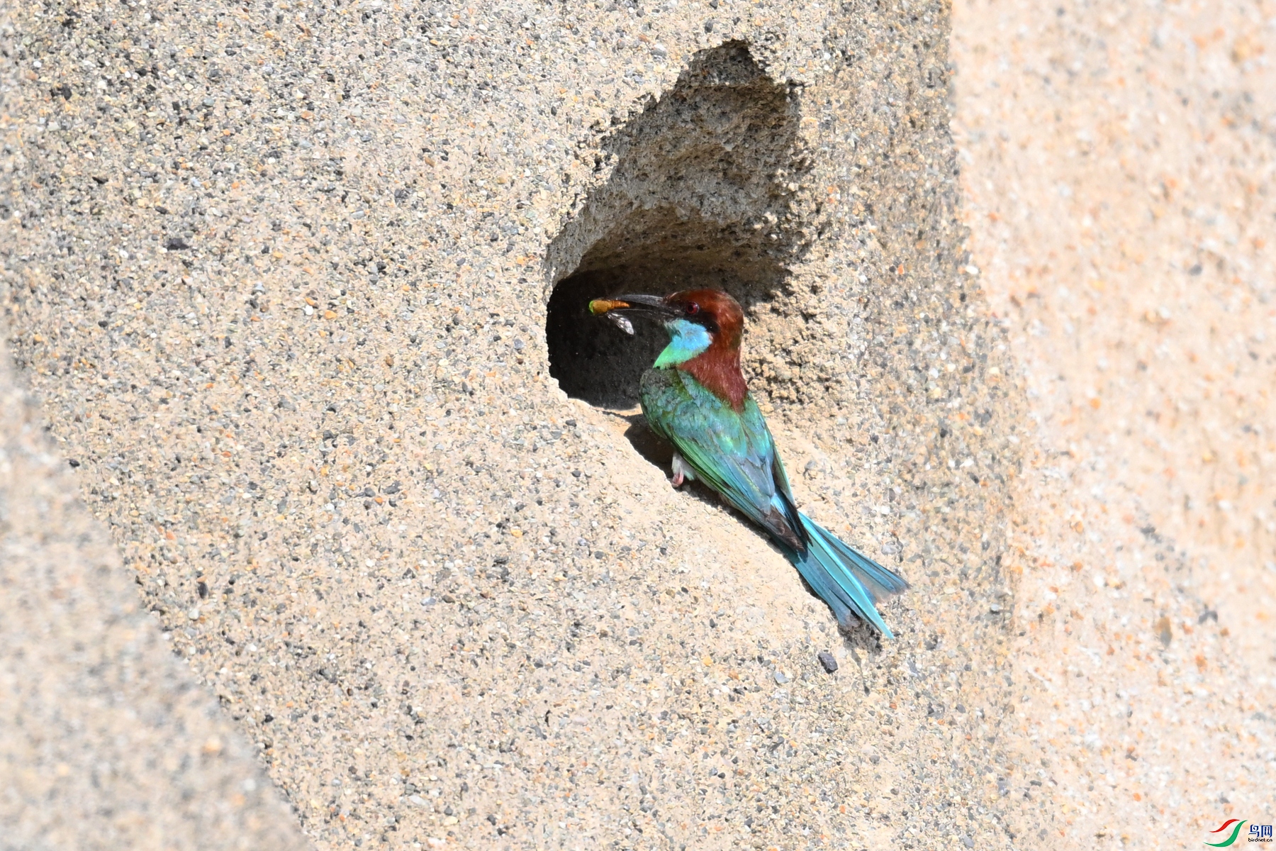 DSC_2665.JPG