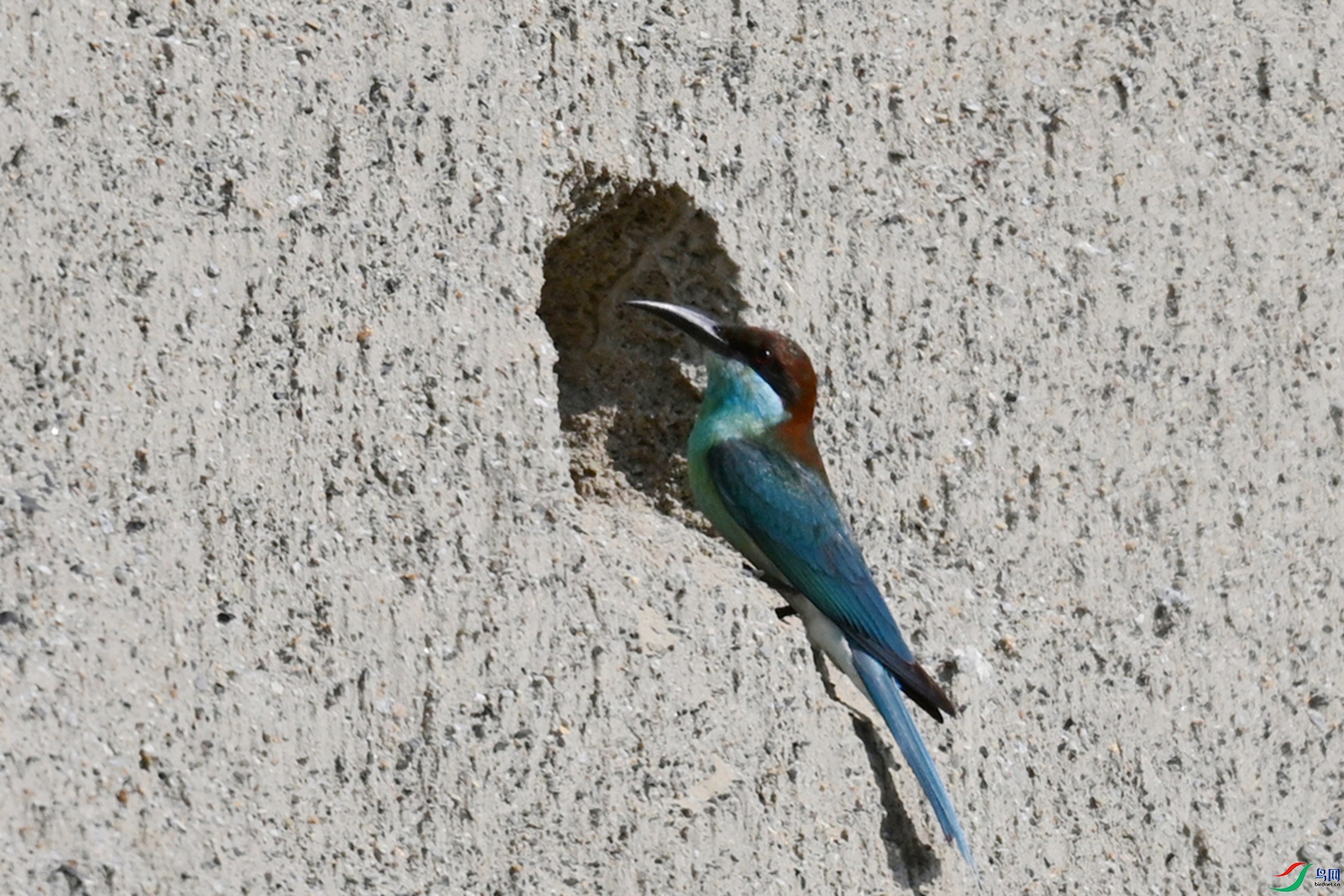 DSC_2674.JPG