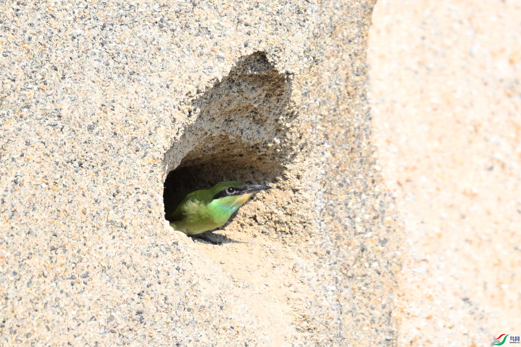 DSC_2645.JPG