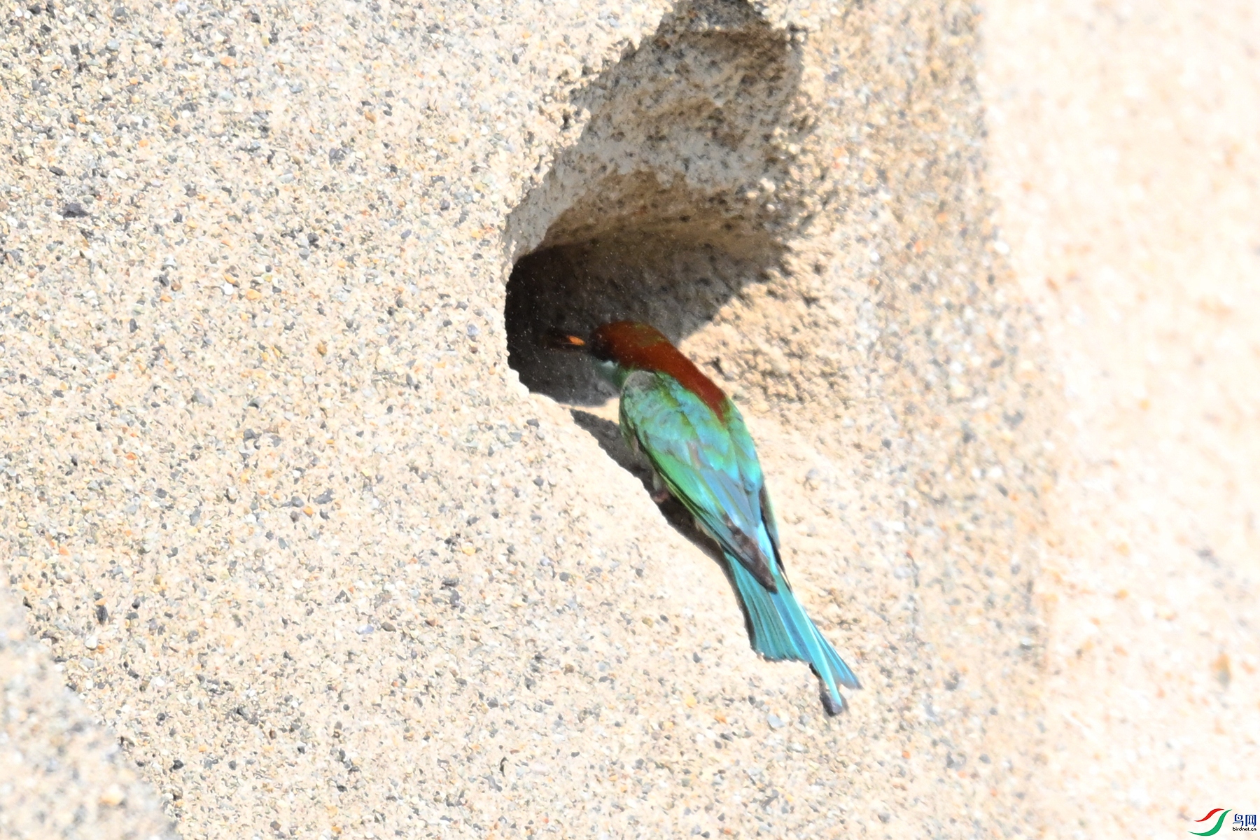 DSC_2657.JPG