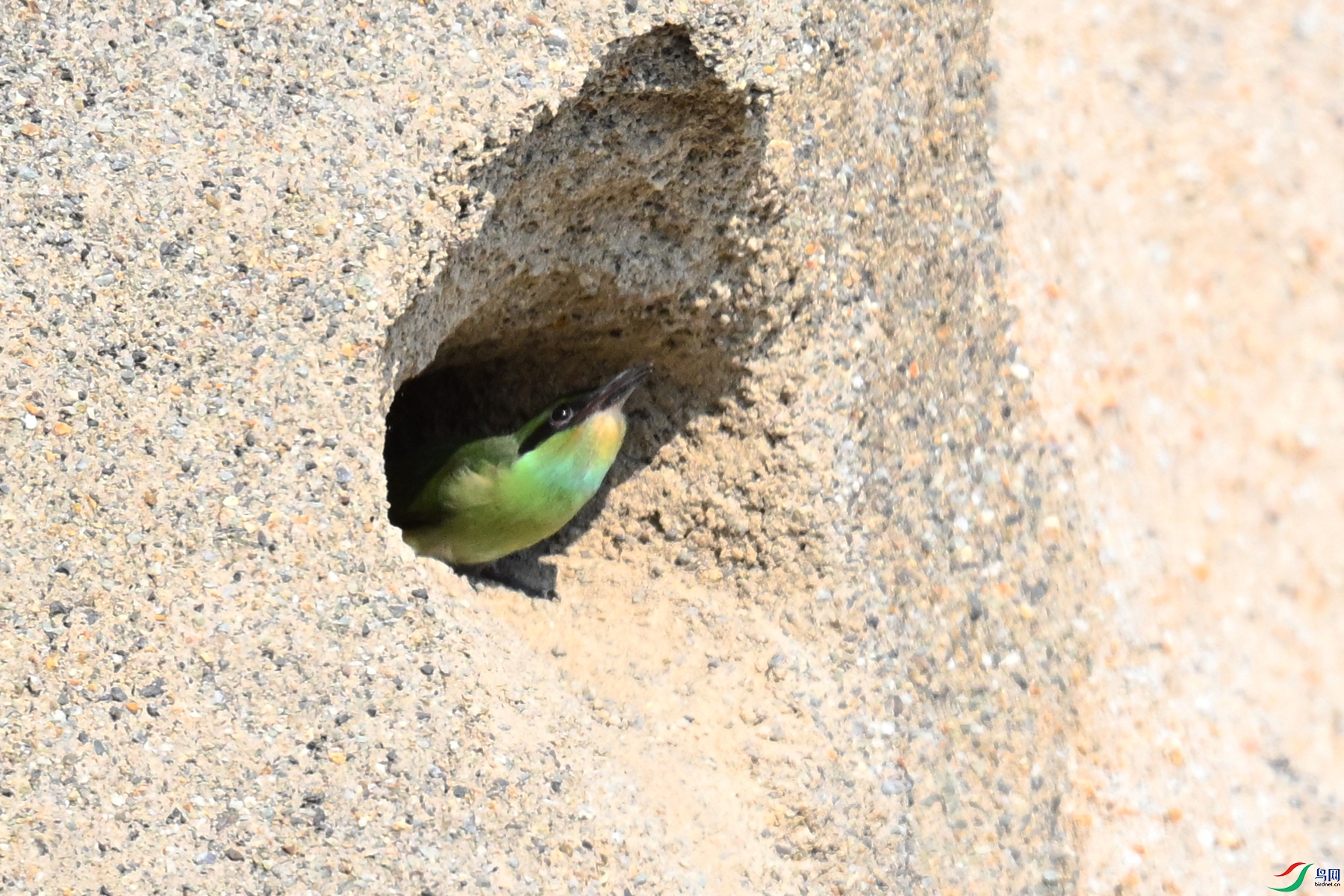 DSC_2649.JPG