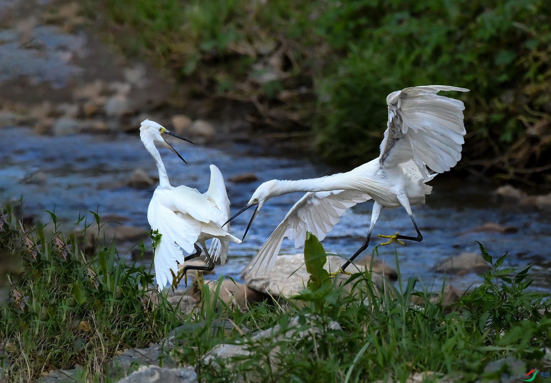 DSC_0339_��ͼ�� ����.jpg