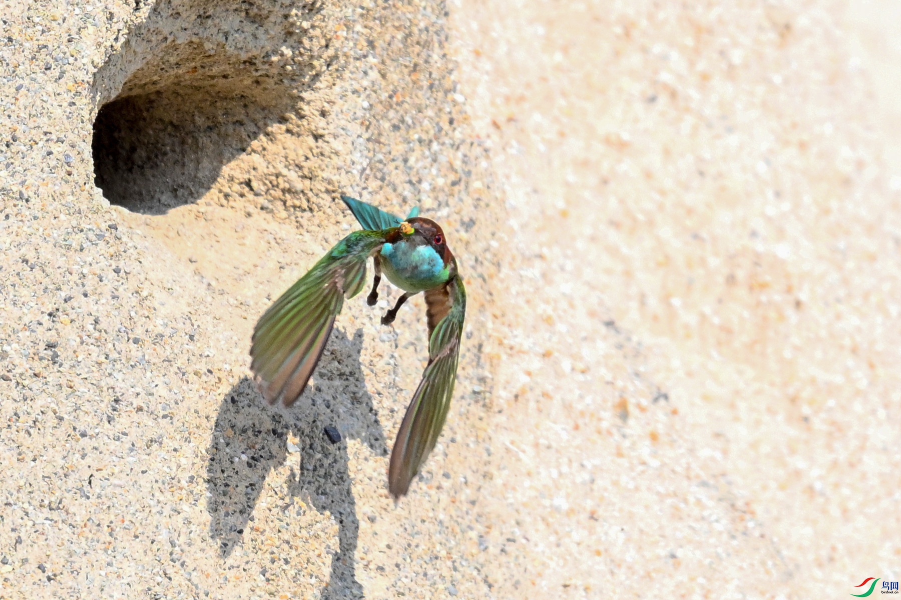 DSC_2659.JPG