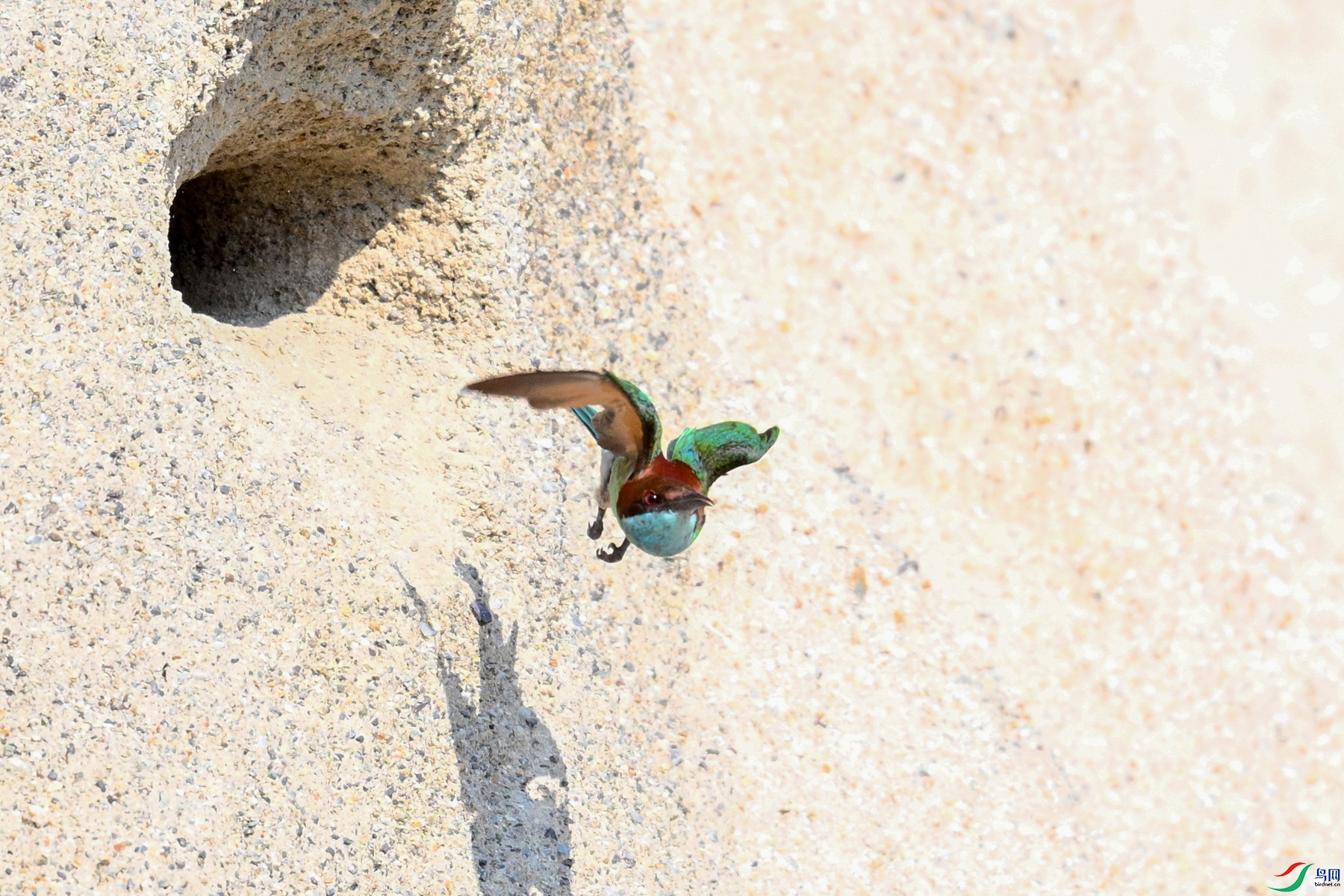 DSC_2669.JPG