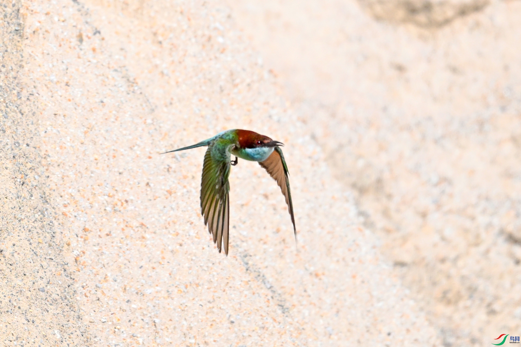 DSC_2673.JPG