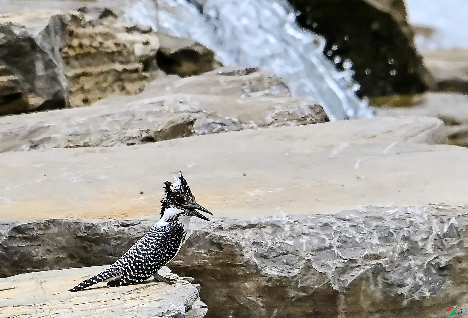 DSC_0455վʯ����.jpg