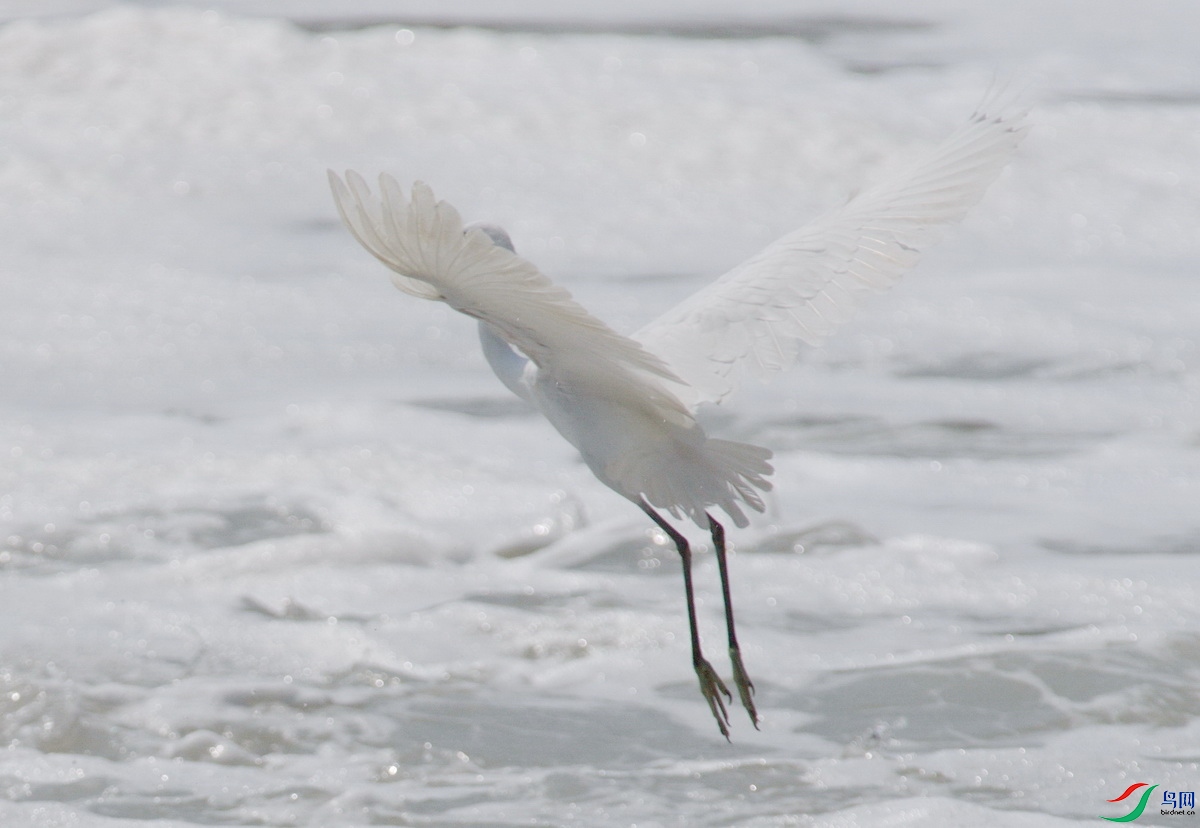 _DSC9080m_������С.jpg