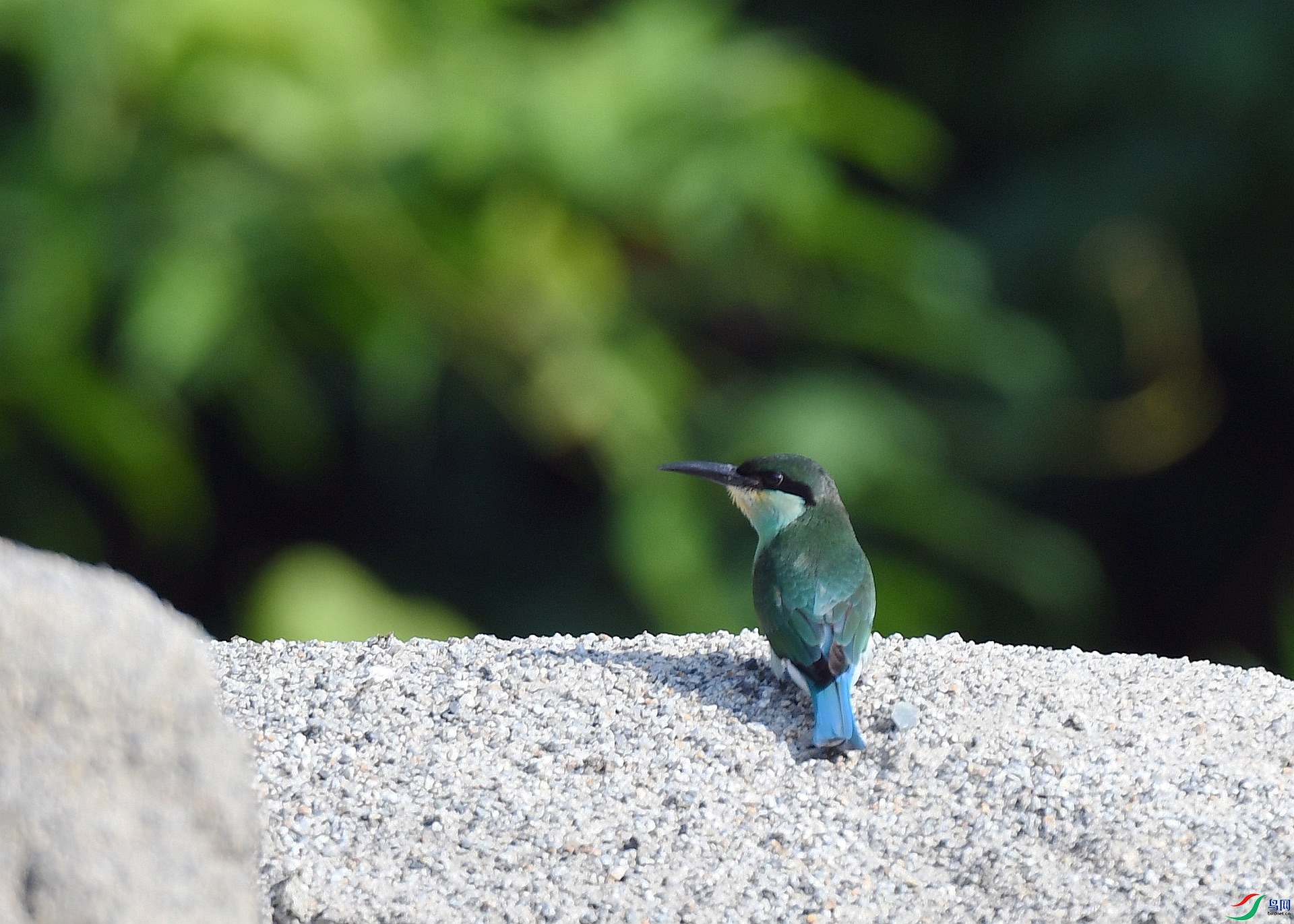 DSC_3038.jpg