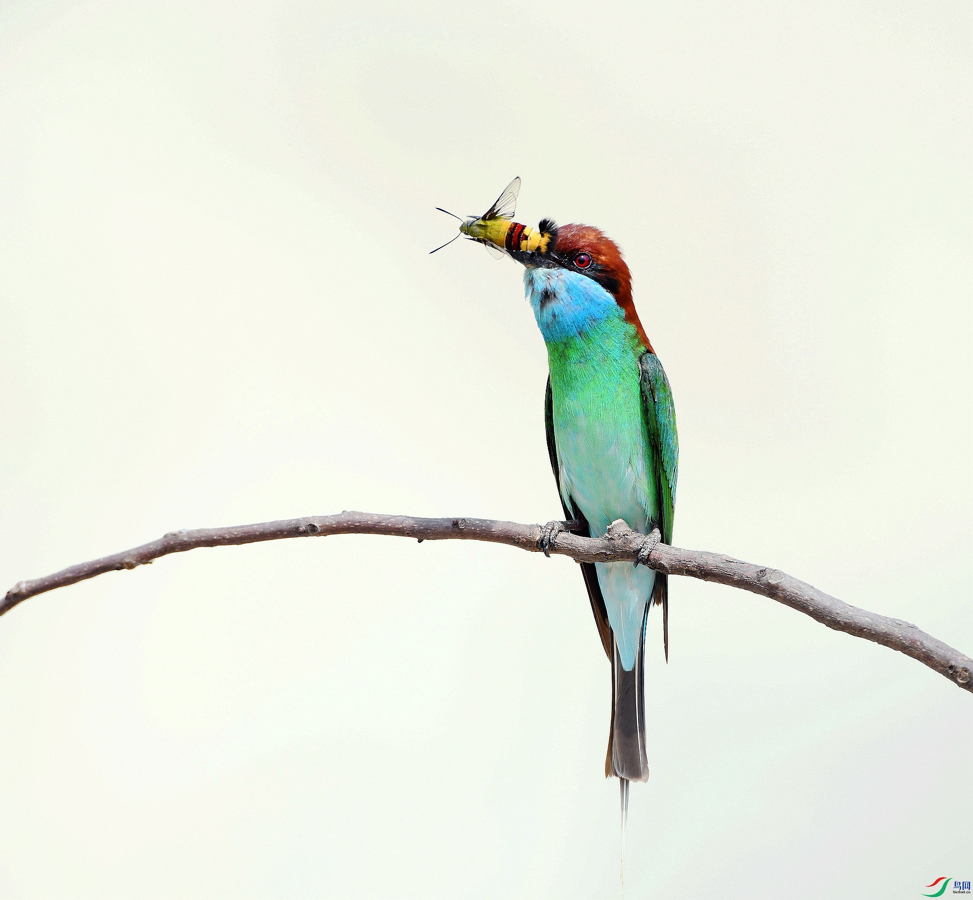 DSC_6208.jpg