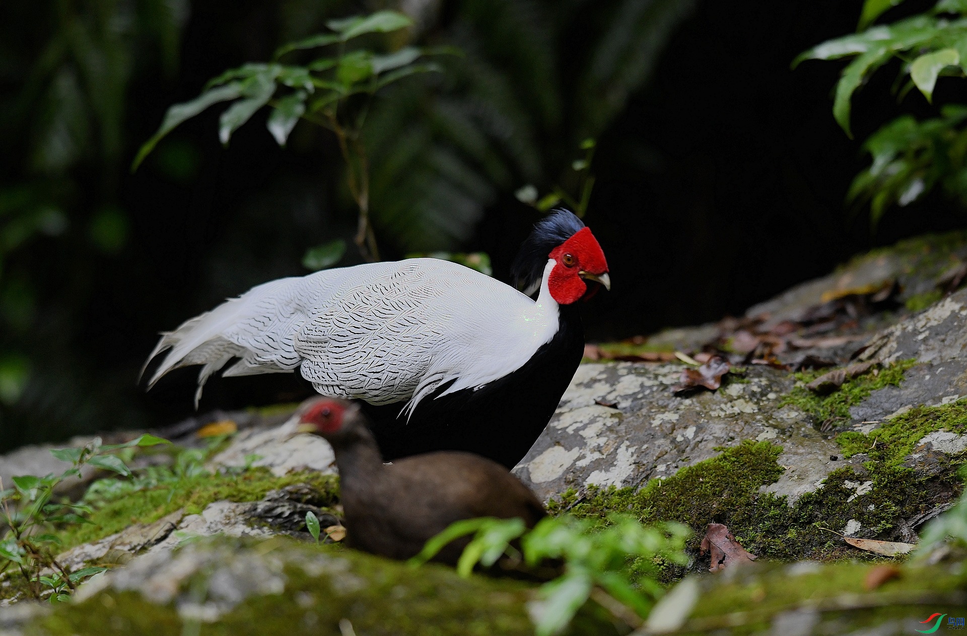 DSC_6486.jpg