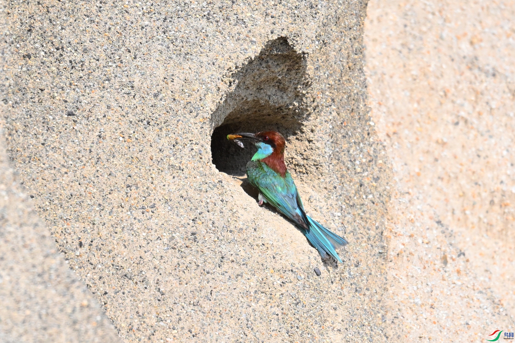 DSC_2666.JPG