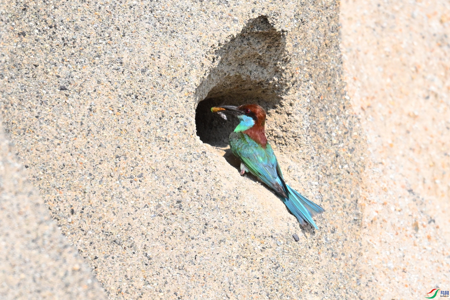 DSC_2667.JPG