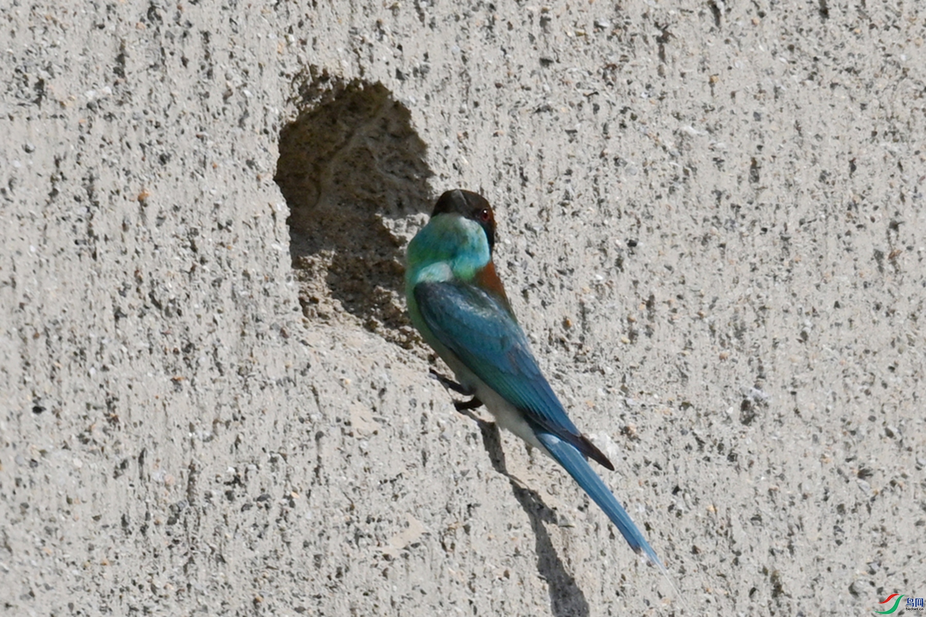 DSC_2675.JPG