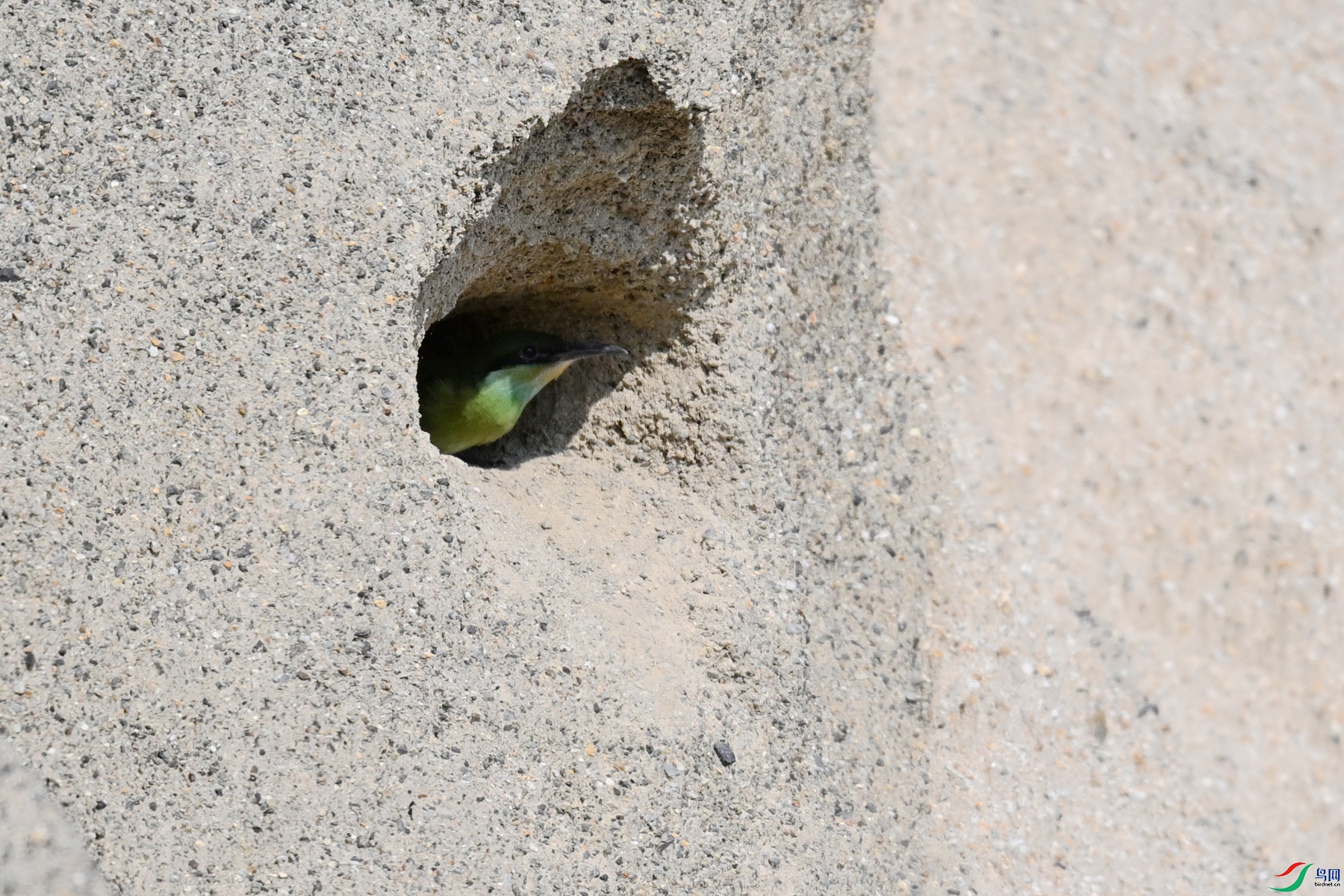 DSC_2677.JPG