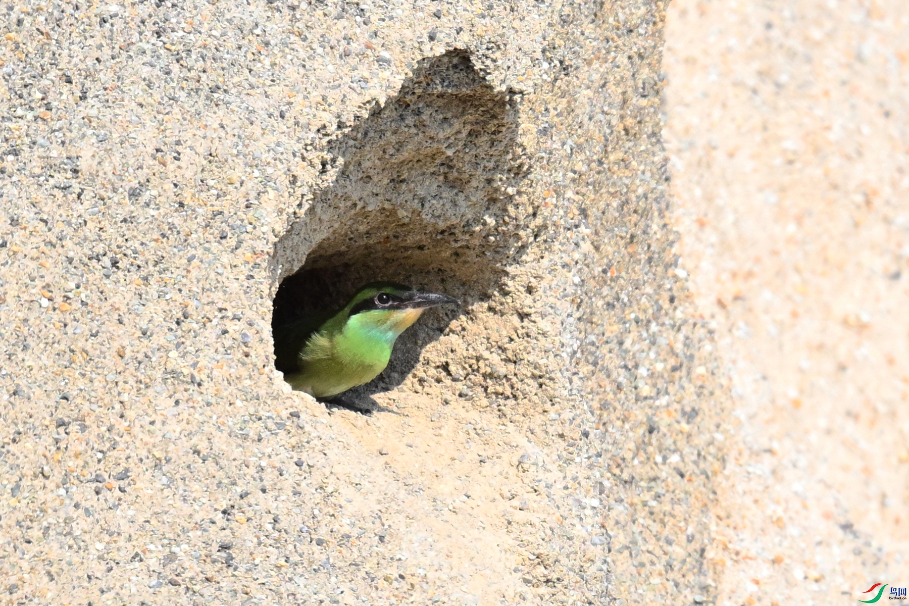 DSC_2704.JPG