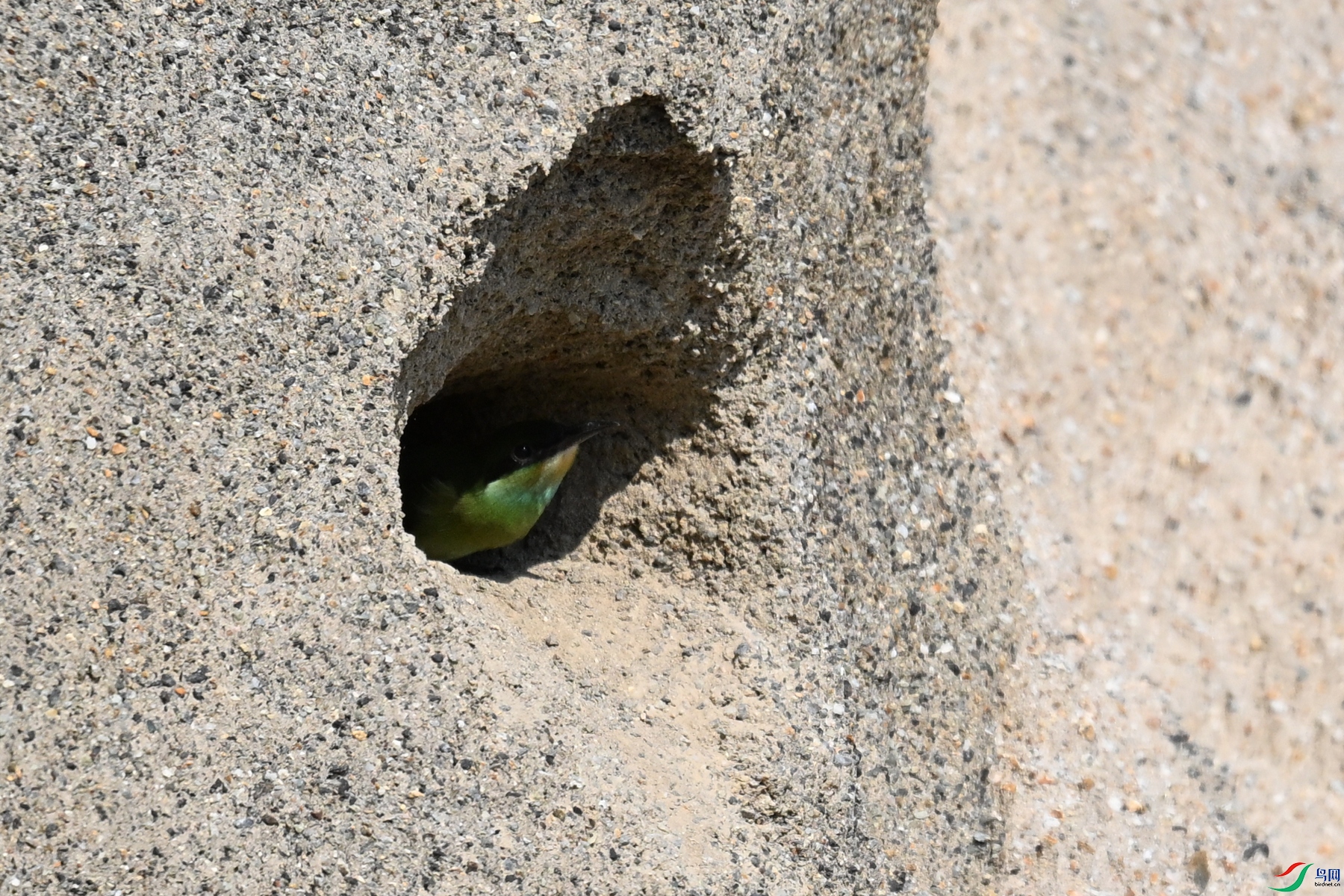 DSC_2694.JPG